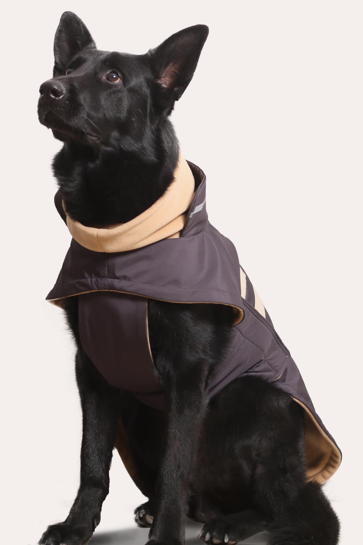 کاپشن سگ اسکی‌اندارد Asky&Erd Extreme Wheater Coat I