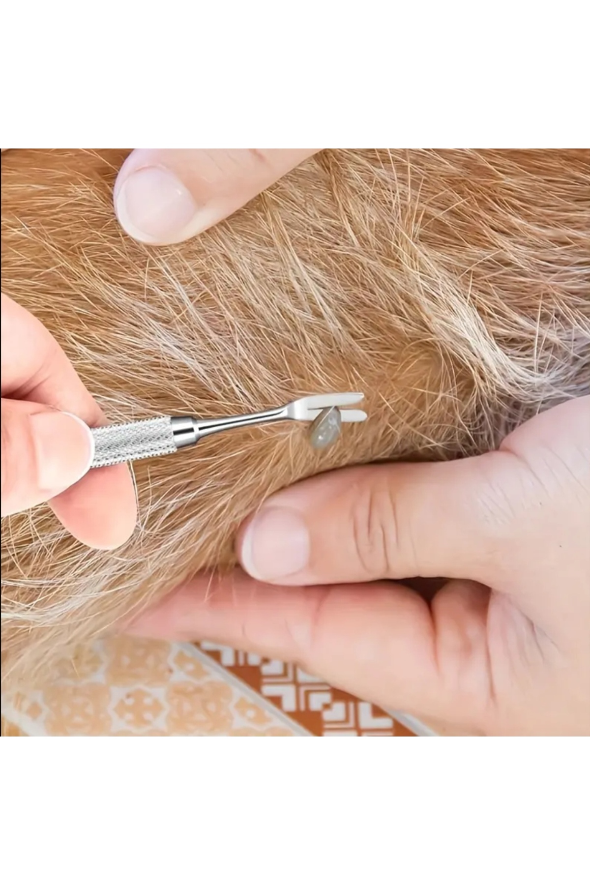 ابزار خارج‌کردن کنه سگ اورگانیک‌یو ORGANICYOU مدل CVGBP01، فولاد ضدزنگ با سر به‌شکل V
