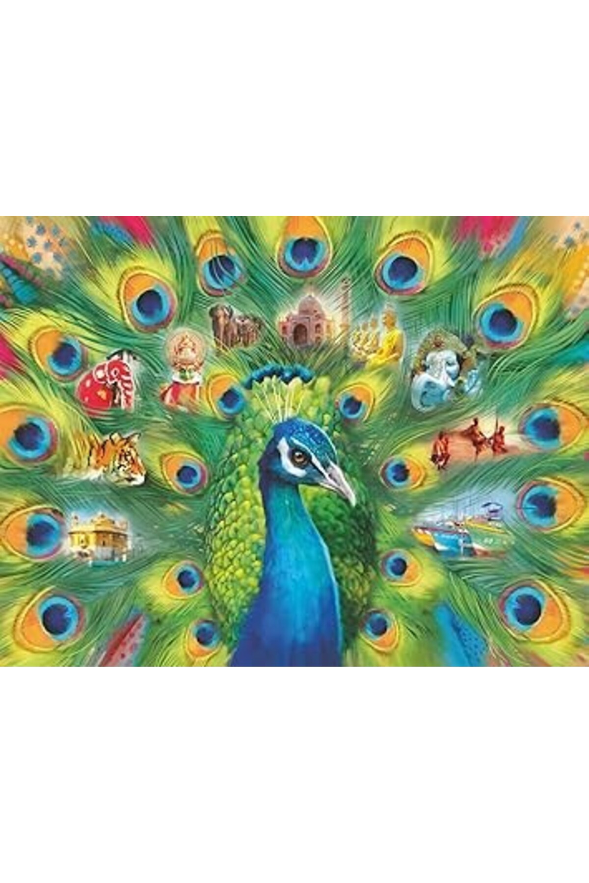 پازل RAVENSBURGER 2000 PIECE ADULT PREMIUM PUZZLE PEACOCK 16567 از ترکیه OyuncaklarÜlkesi