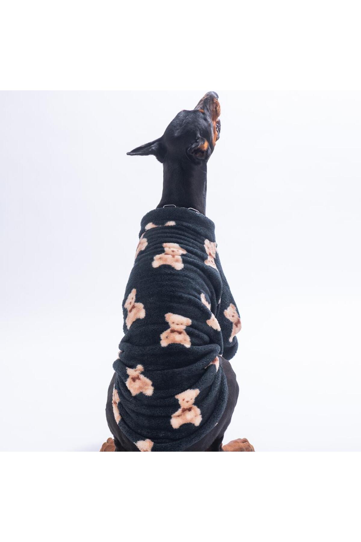 سویشرت پلش سگ نژاد بزرگ پاوستار Pawstar مدل Gentle Bruno