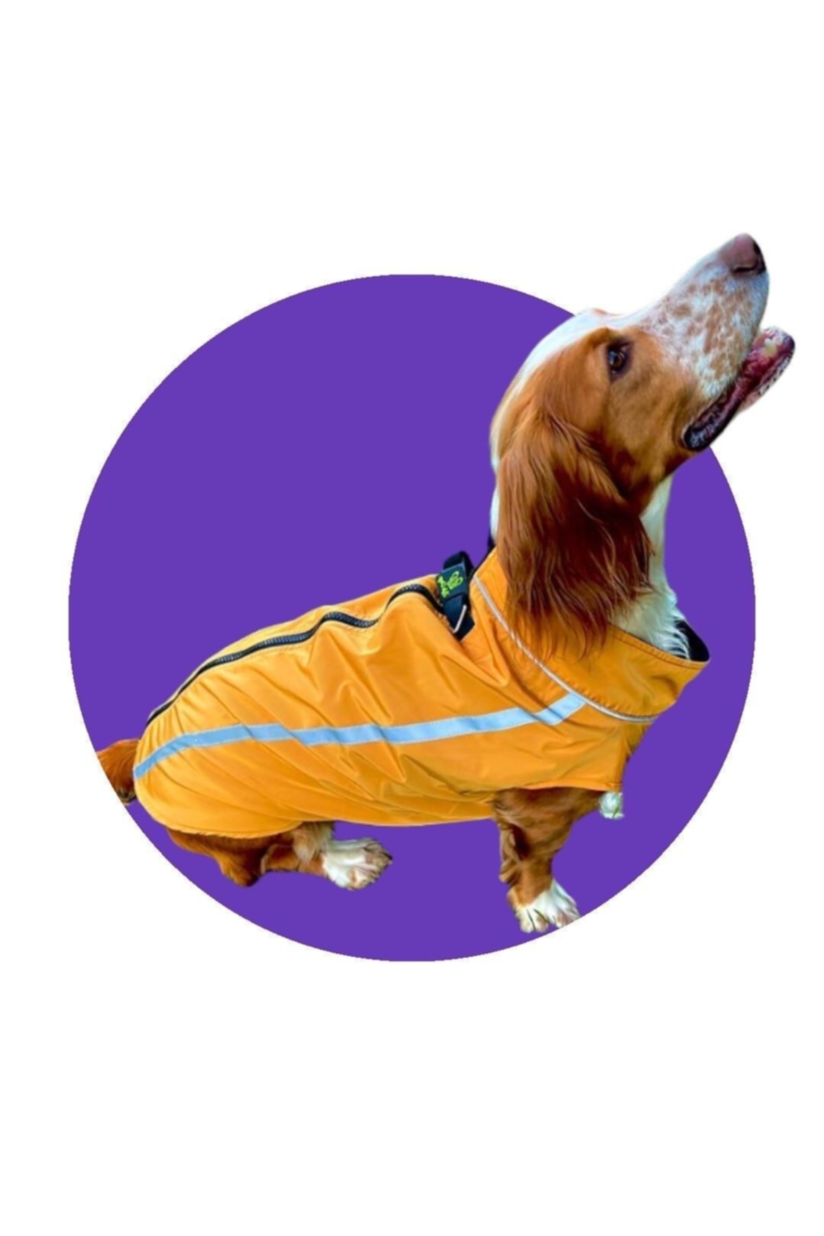 بارانی سگ زوبی داگز Zubi Dogs Zubirain، ضدآب با آستر پلار، زرد خردلی
