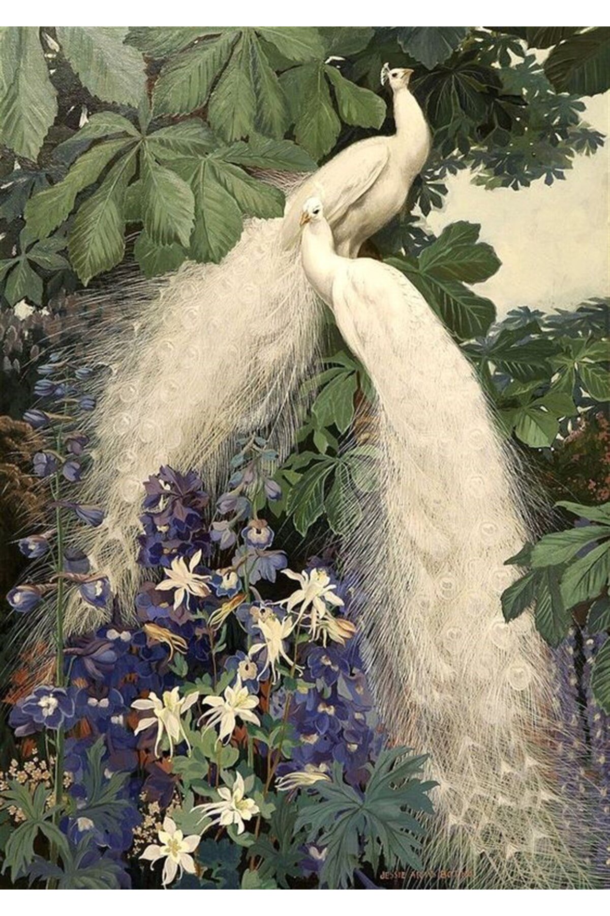 پازل نقاشی معرق الماس مارسل آرت طاووس سفید 48X69 سانتی متر MARCEL SANAT