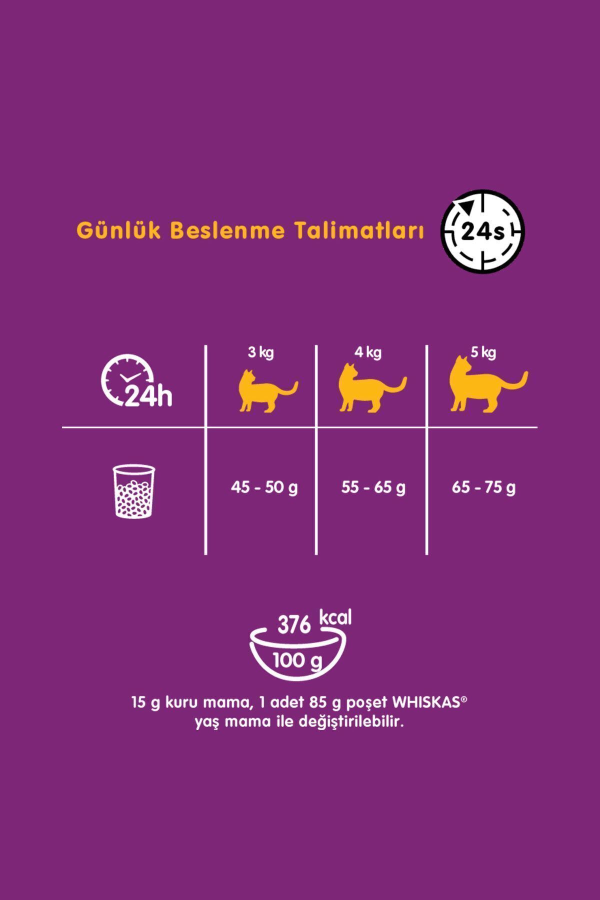 غذای خشک گربه بالغ ویسکاس Whiskas با طعم ماهی تن، ۱٫۴ کیلوگرم 1.4 Kg
