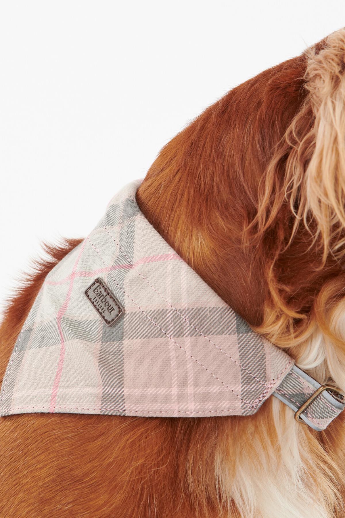 دستمال گردن سگ باربور Barbour مدل DAC0013-BE91، طرح تارتان تاپ و صورتی