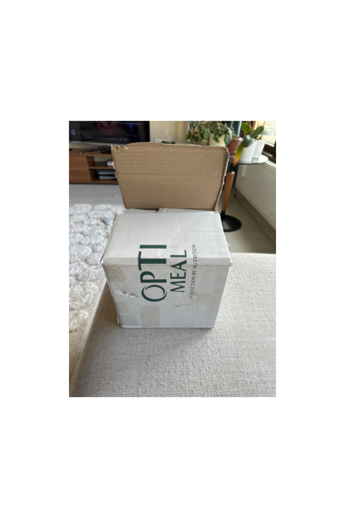 آبخوری فواره‌ای گل‌دار کتیت Catit 2.0 Flower Fountain