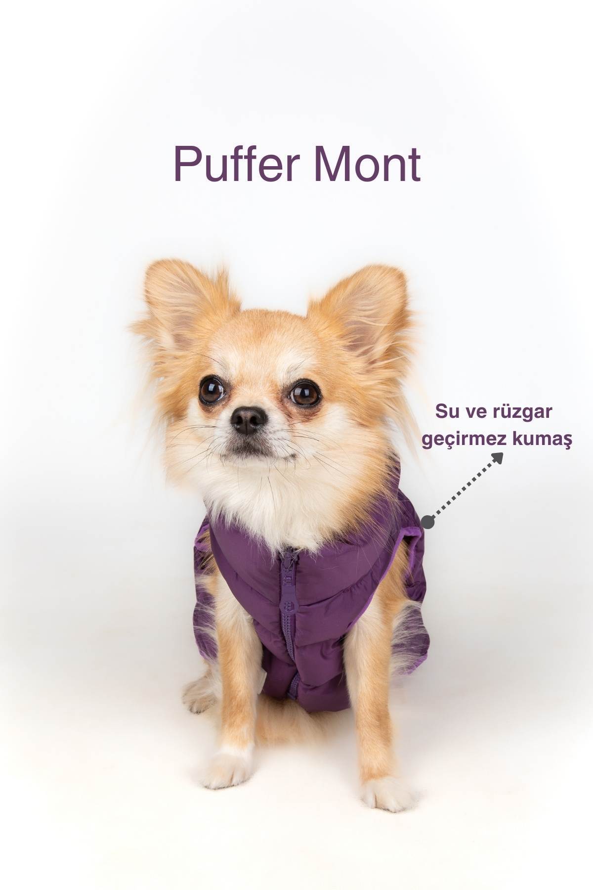 کاپشن پافر ضدآب سگ سالیا استور Salya Store مدل Puffer-Mont، بنفش