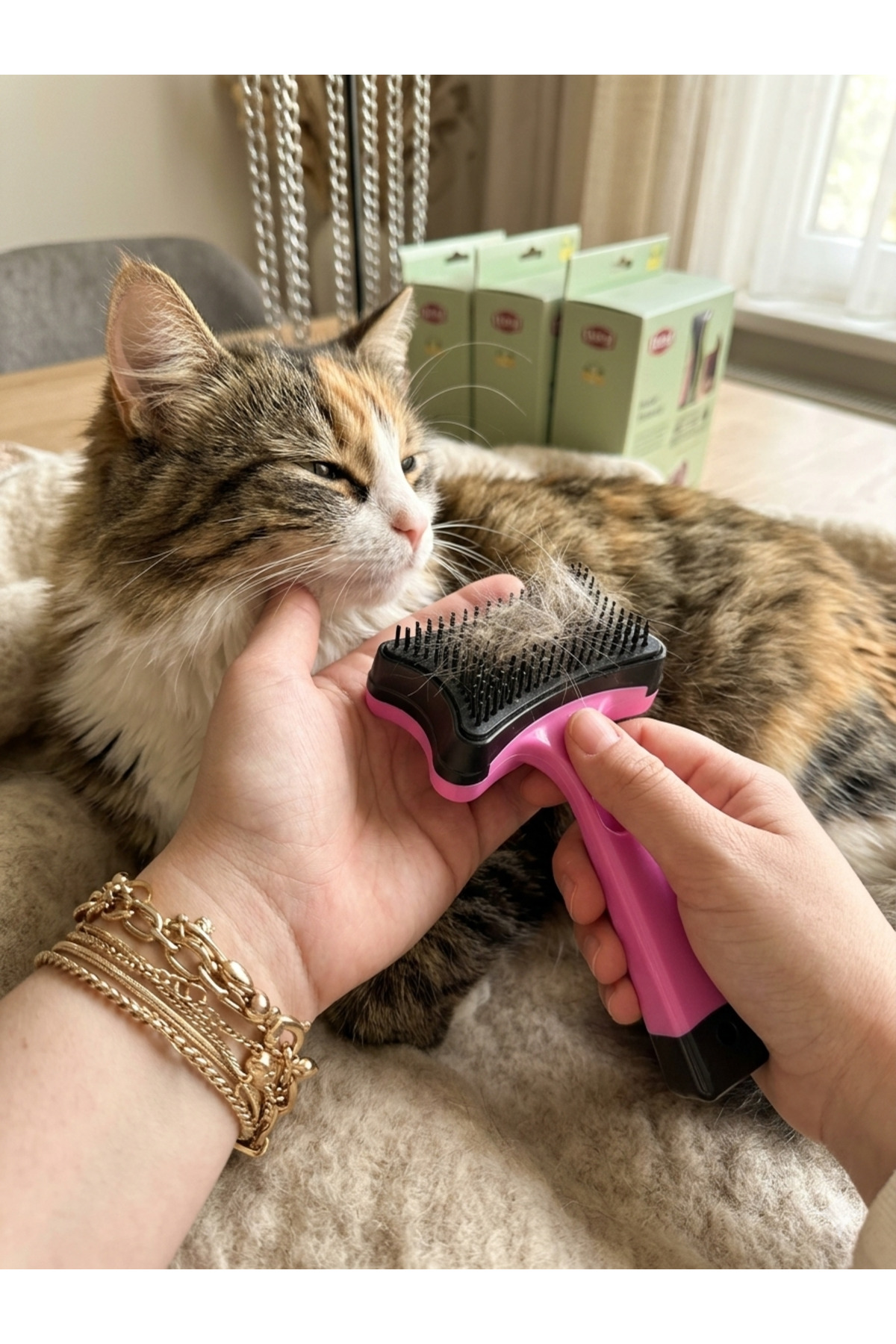 شانه و برس فشاری خودتمیزشونده گربه مسترکت Mastercat