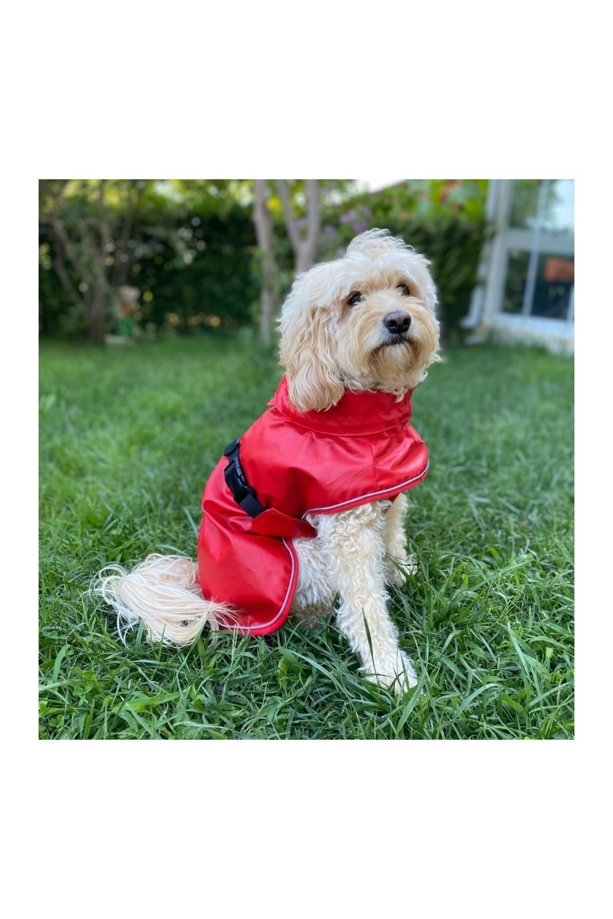 بارانی سگ فلافی بادیز استور Fluffy Buddies Store مدل PomeRainS، قرمز