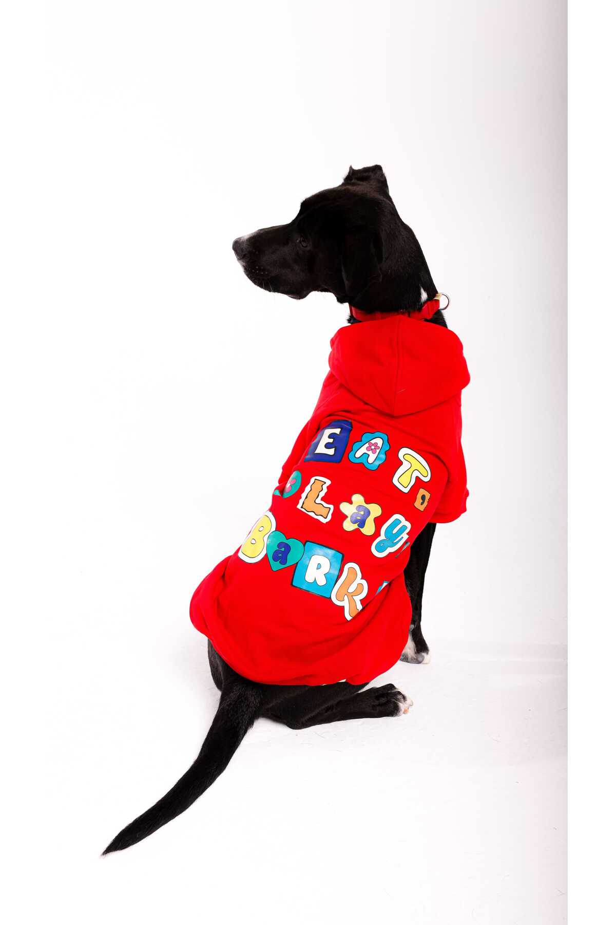 هودی سگ Eat Play Bark هایپت فشن Hypet Fashion، قرمز