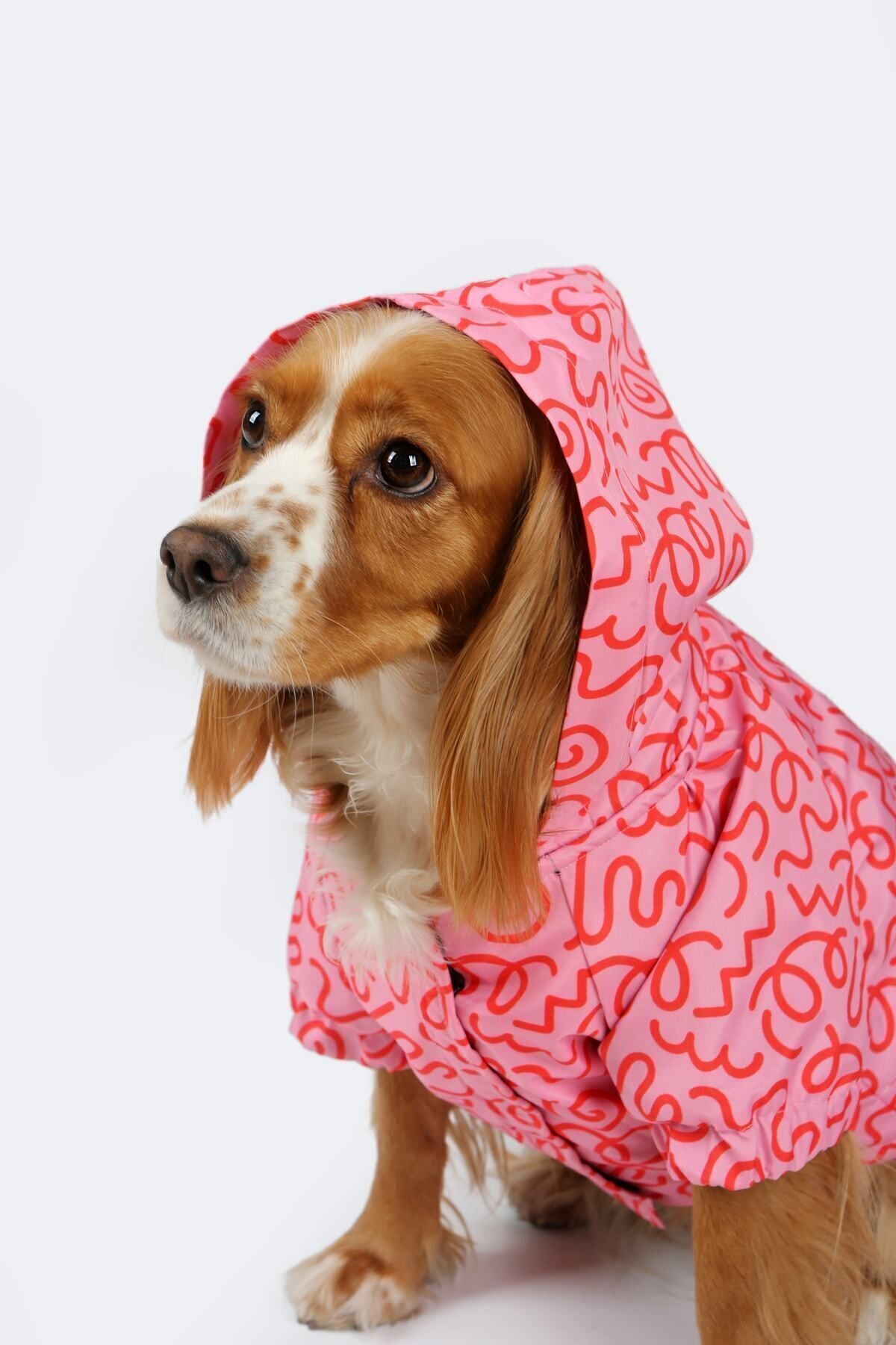 کاپشن پلار سگ Pink Confusion پت‌پرسون Petperson صورتی