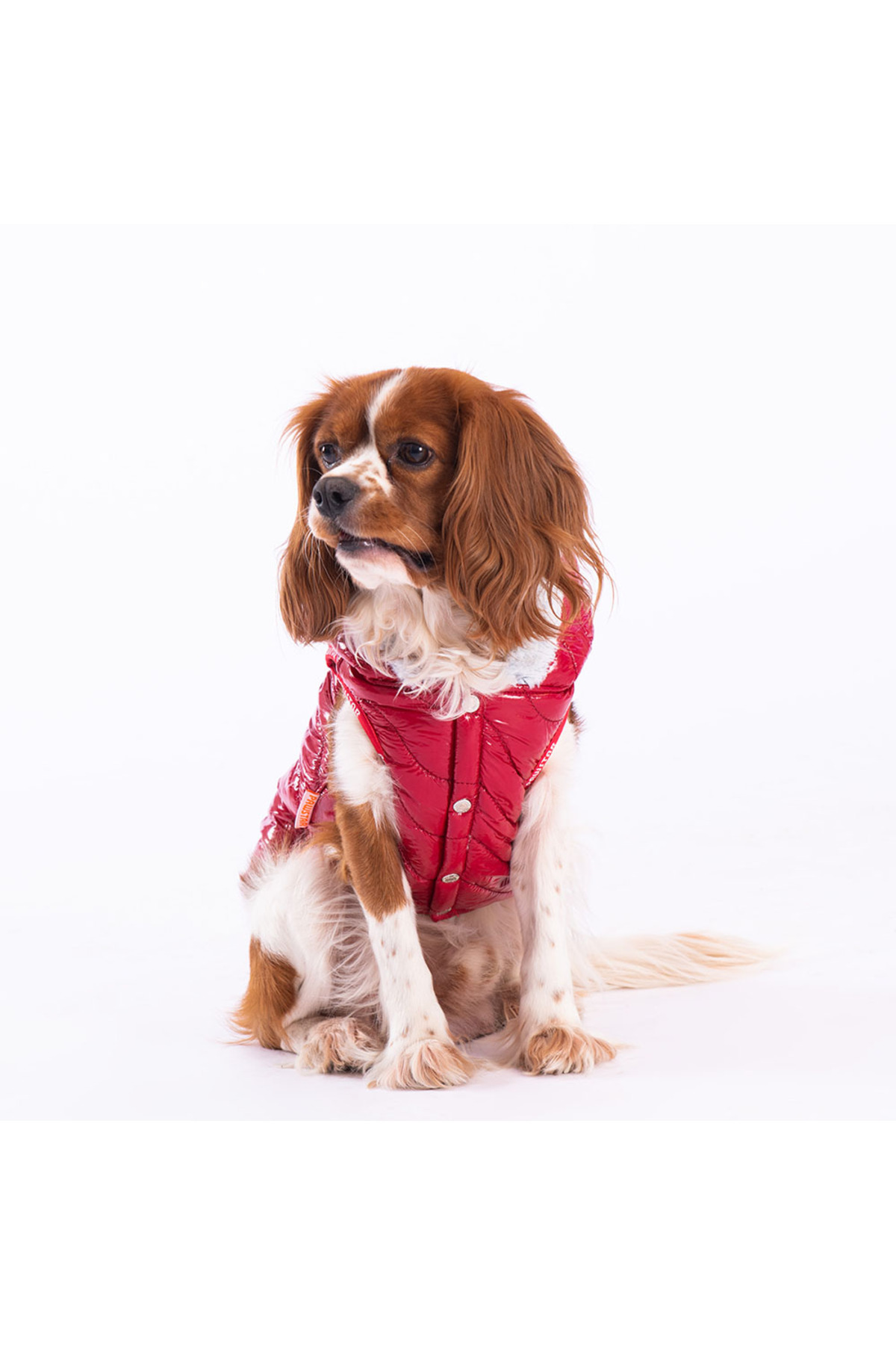 جلیقه بارانی سگ پاواستار Pawstar Light Wave Anorak مدل LW2310، قرمز
