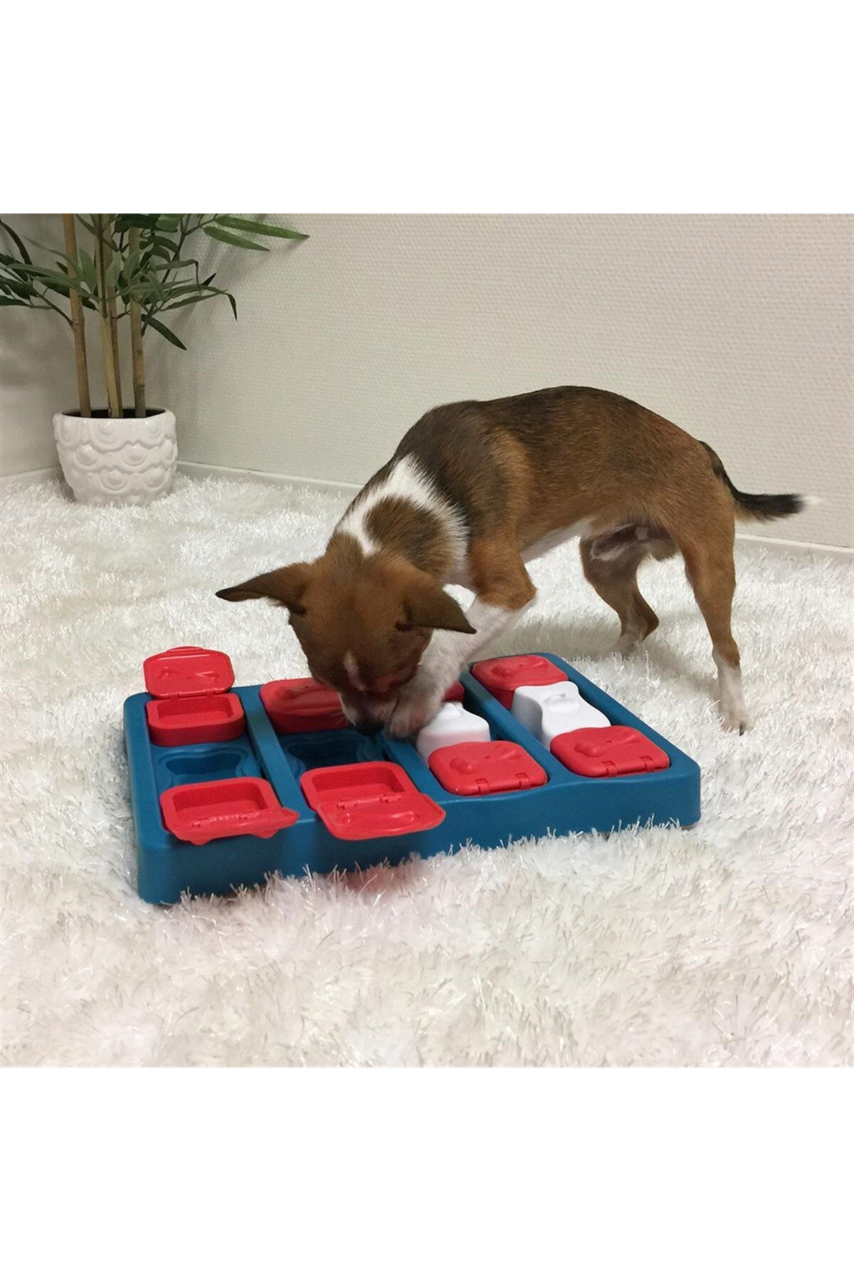اسباب‌بازی پازلی تشویقی سگ اوت‌وارد هاوند Outward Hound X Nina Ottosson Dog Smart آبی