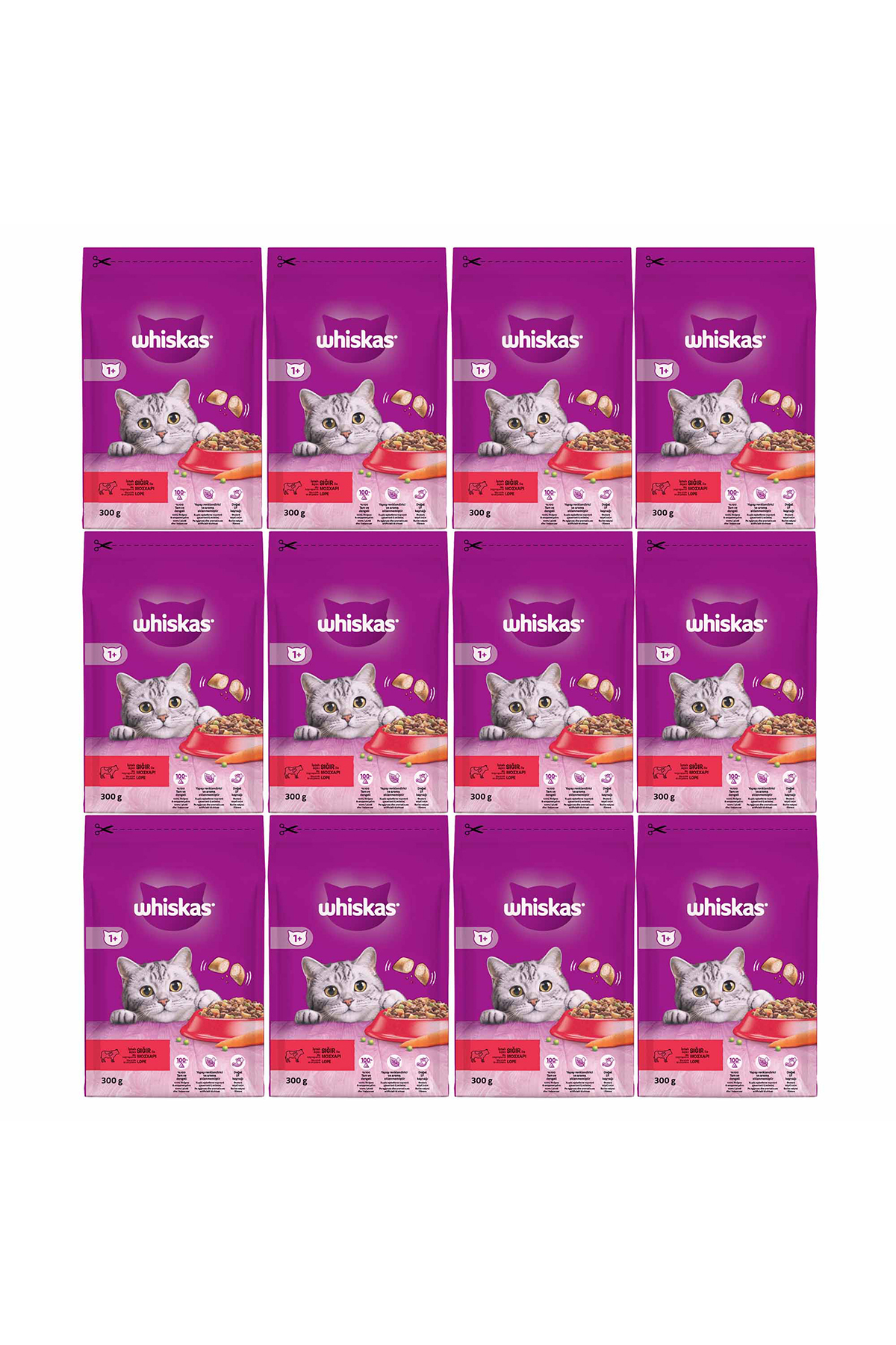 غذای خشک گربه ویسکاس Whiskas با طعم گوشت گاو و هویج، ۱۲ بسته ۳۰۰ گرمی