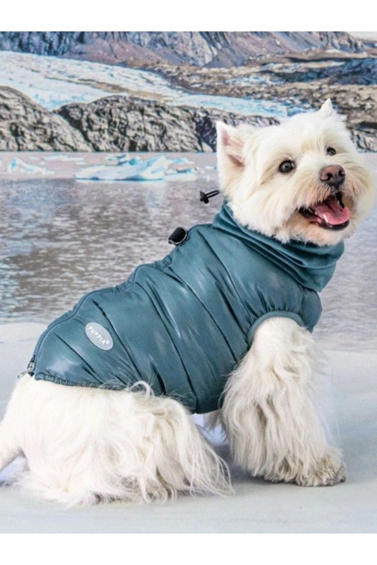 جلیقه پفی سگ پوپیا Puppia Glacier Snood، مدل PAZD-UV2261 فیروزه‌ای