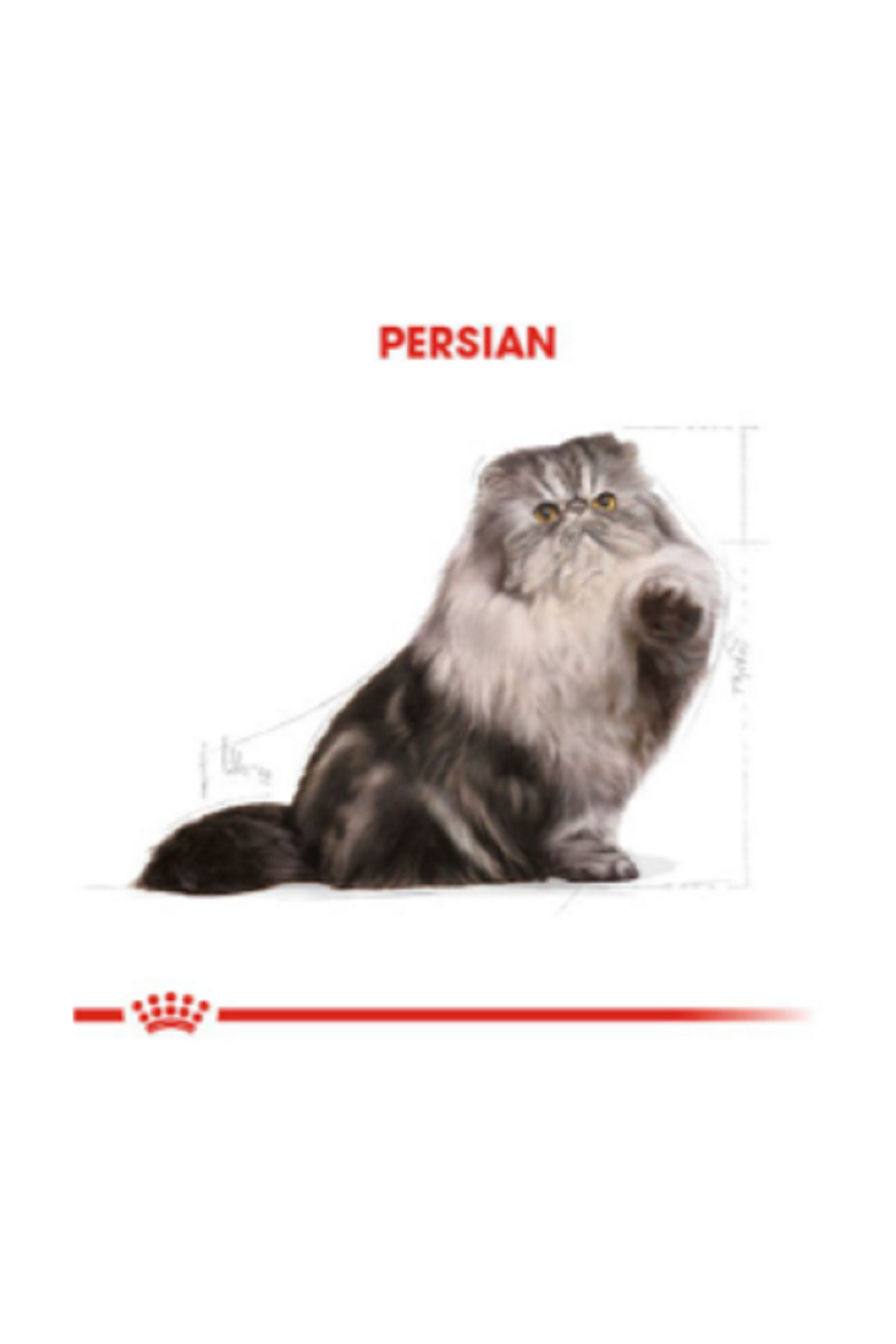 غذای خشک گربه پرشین بالغ رویال کنین Royal Canin، ۴ کیلوگرم