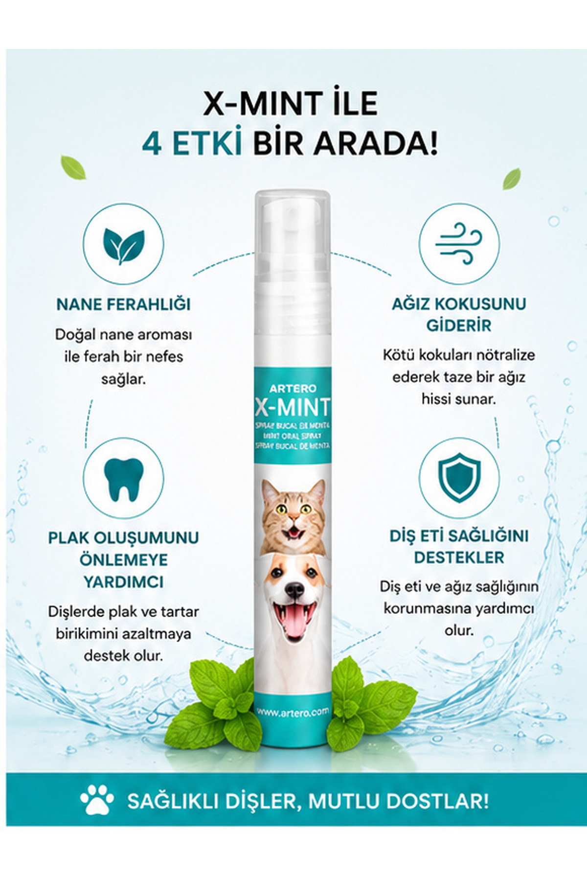 اسپری دهان سگ آرترو Artero X-Mint، ۱۳ میلی‌لیتر