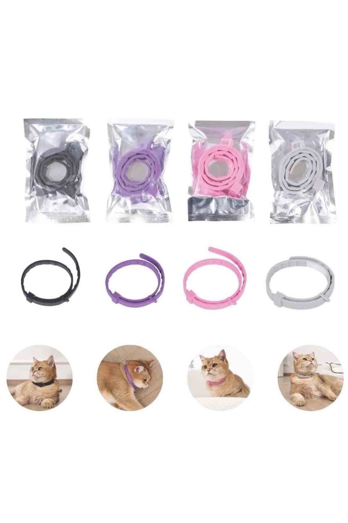 قلاده آرام‌بخش گربه ام‌پتس M-PETS Keep Calm، بسته ۴ عددی چندرنگ