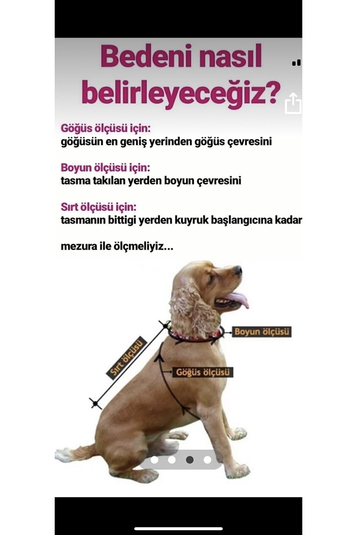 لباس توتو جین سگ و گربه آریا پت بوتیک aria pet butik چندرنگ