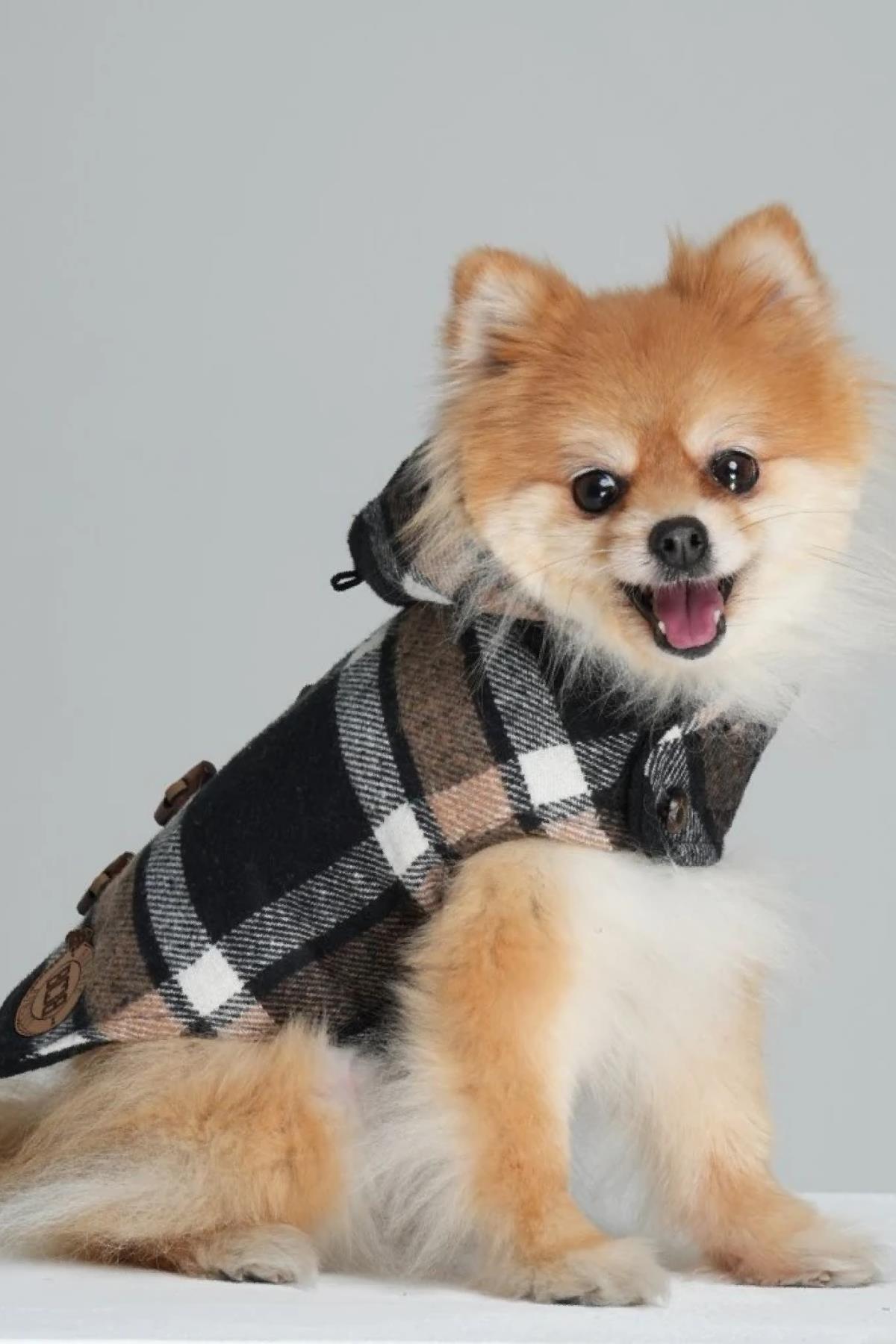 کاپشن کلاه‌دار سگ بونچیک‌بونکوکو BONCHICBONCOCO BCBC Duffle Coat