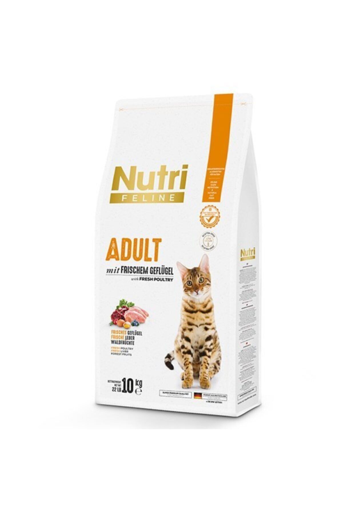 غذای خشک گربه بالغ نوتری فیلین nutrifeline (Nutri Feline)، ۱۰ کیلوگرم