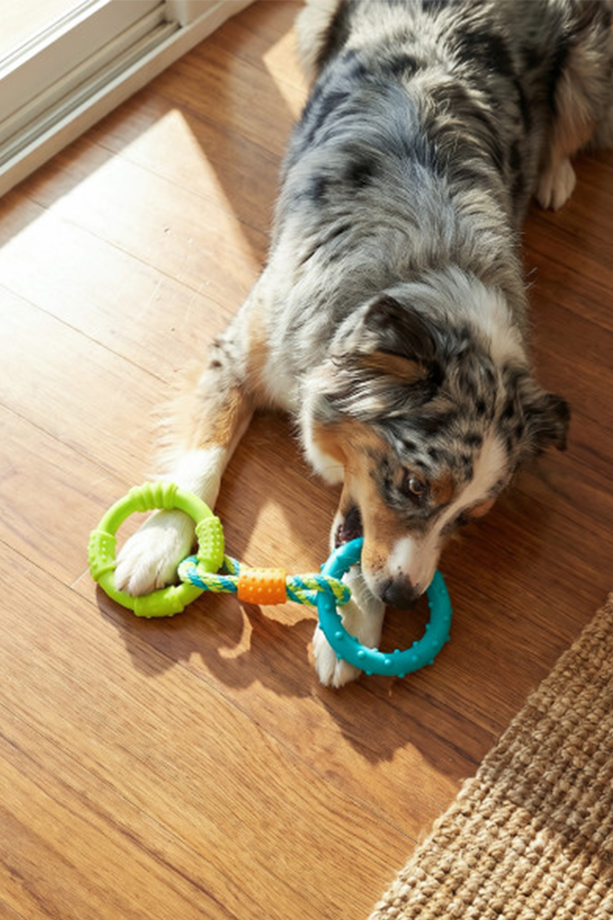 اسباب‌بازی کشیدنی سگ از برند آوت‌وارد هاوند Outward Hound، مدل Petstages Orka Dental Links چندرنگ