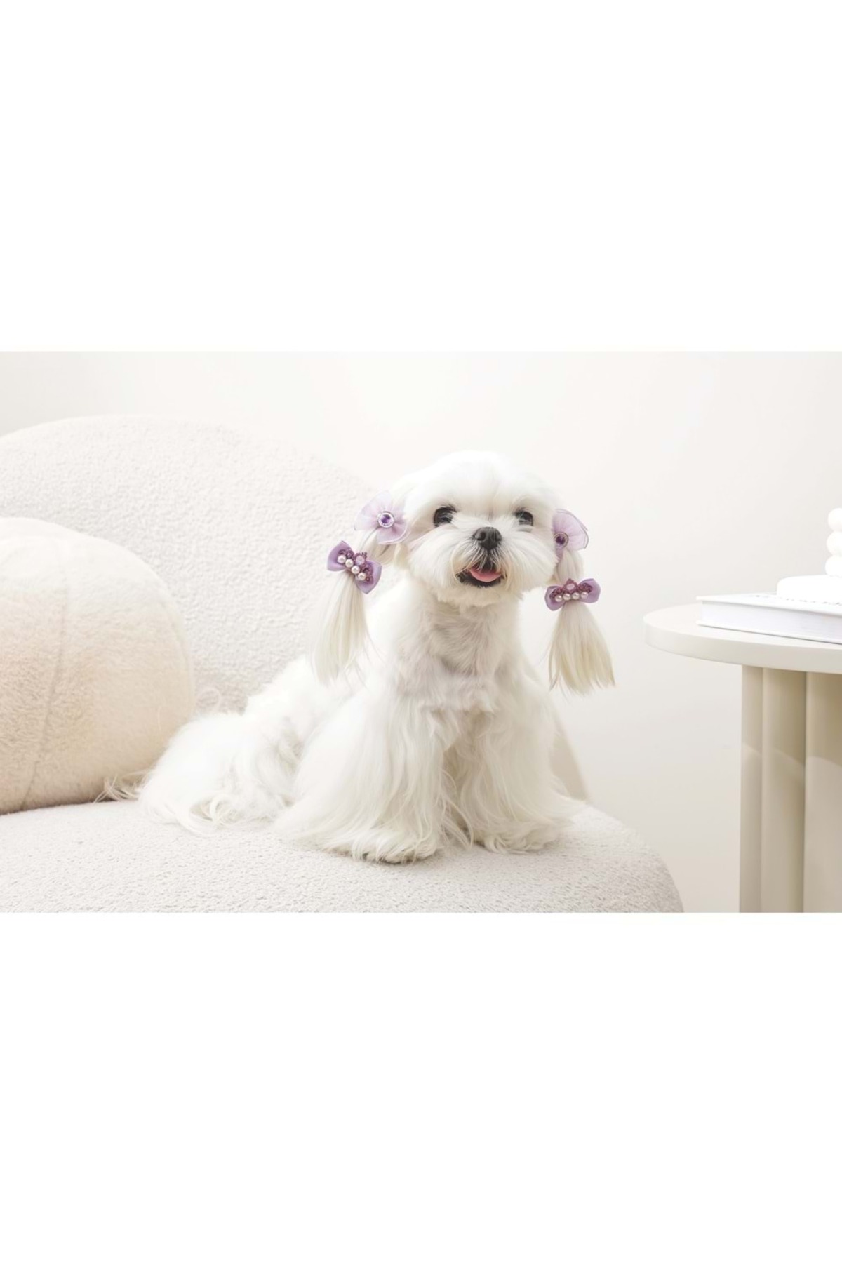 گیره پاپیونی سگ، سری Glam، بنفش، ام‌پتس M-PETS مدل 60900499