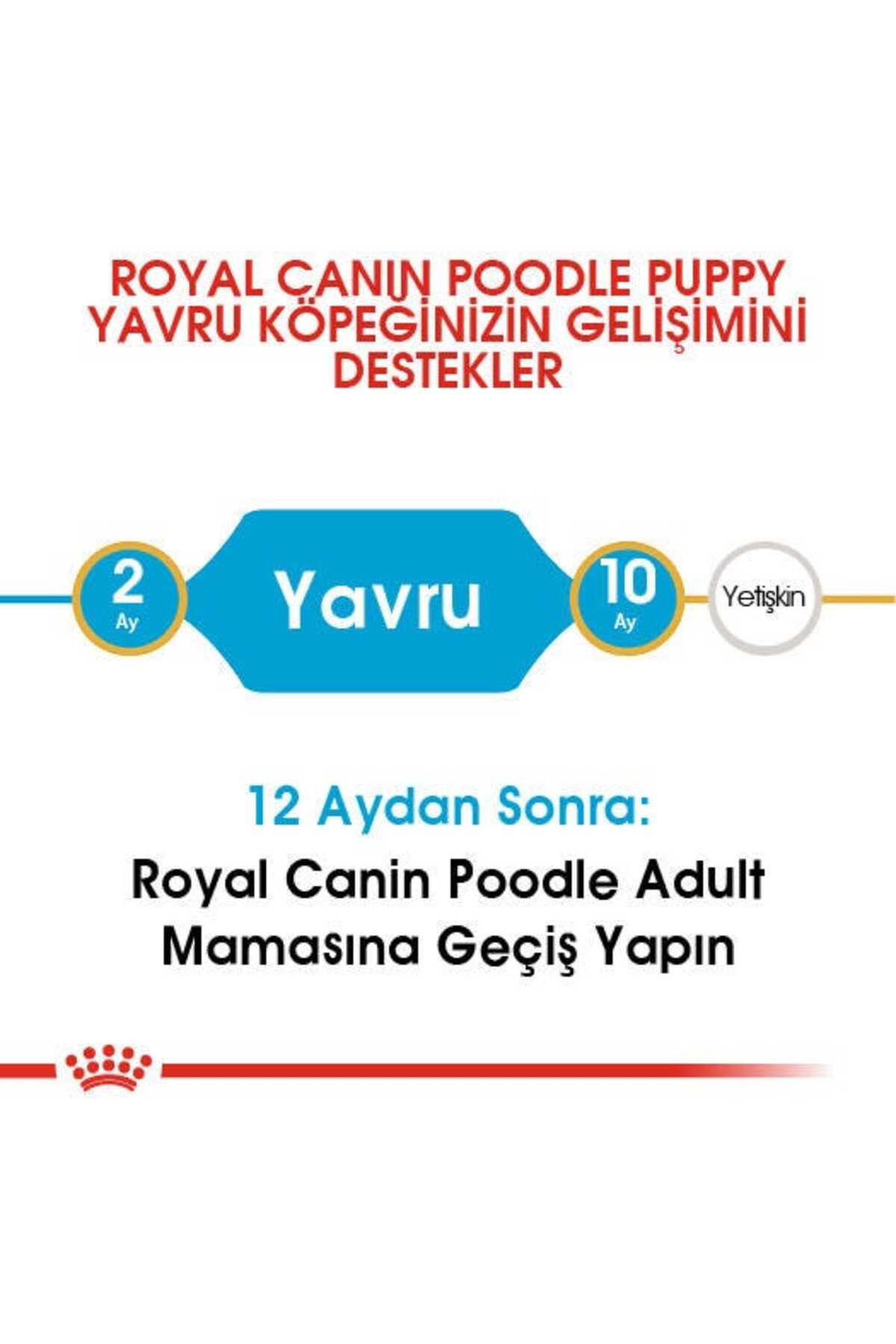 غذای خشک توله‌سگ پودل رویال کنین Royal Canin، ۳ کیلوگرم