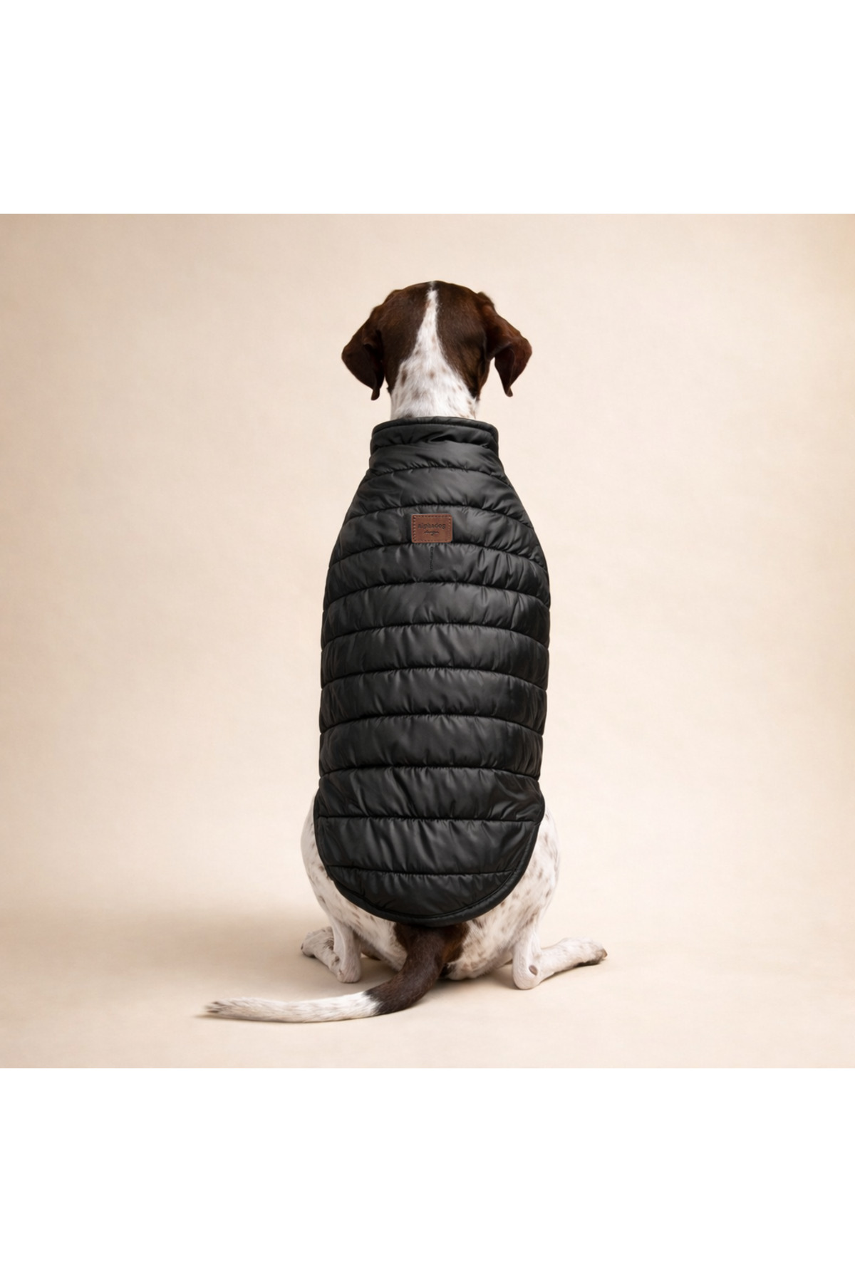 کاپشن سگ آلفادگ Alphadog Design Raven برای نژادهای بزرگ، مشکی