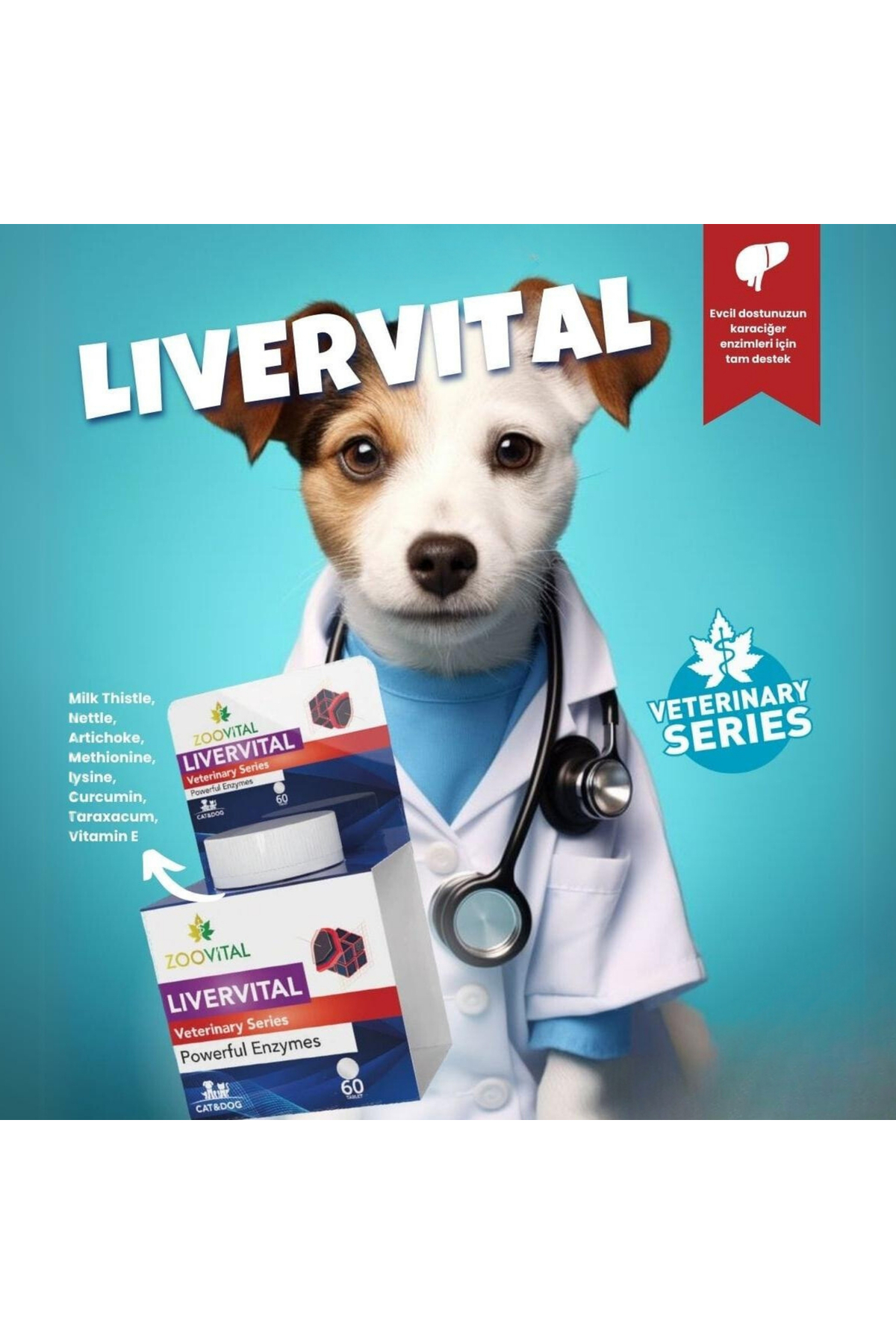 قرص مکمل حمایت از سلامت کبد برای گربه و سگ زوویتال Zoovital Livervital