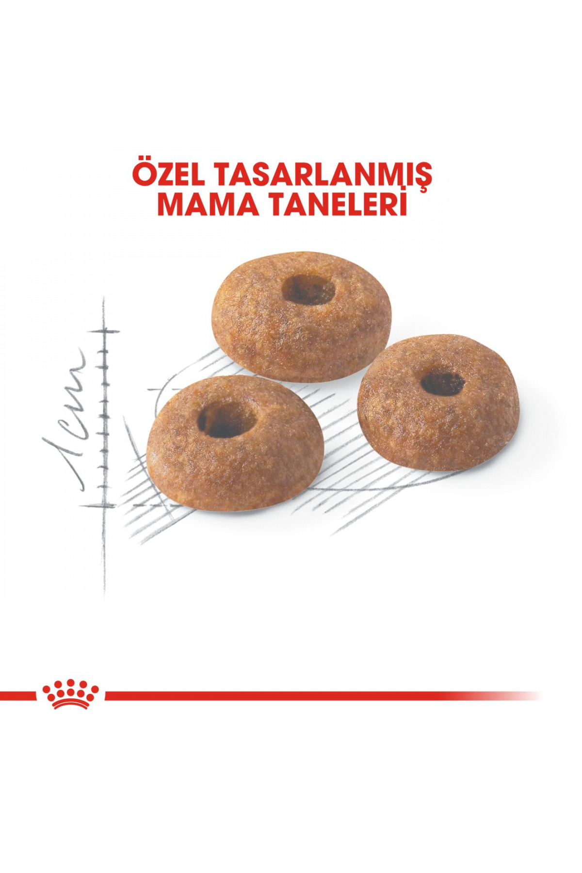 غذای خشک گربه رویال کنین Royal Canin Fit 32، ۴۰۰ گرم