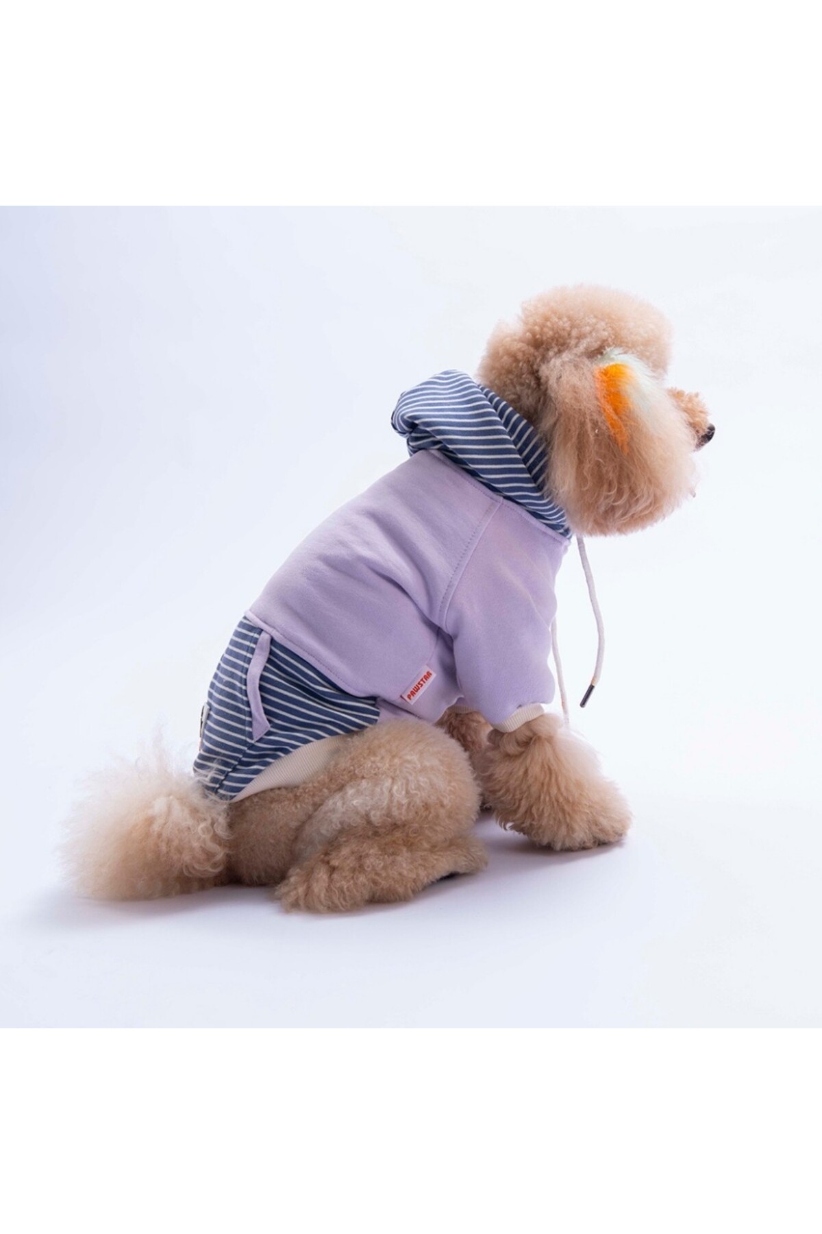 هودی سگ پاوستار Pawstar مدل Sera Stripe، بنفش، کد PS26-1149