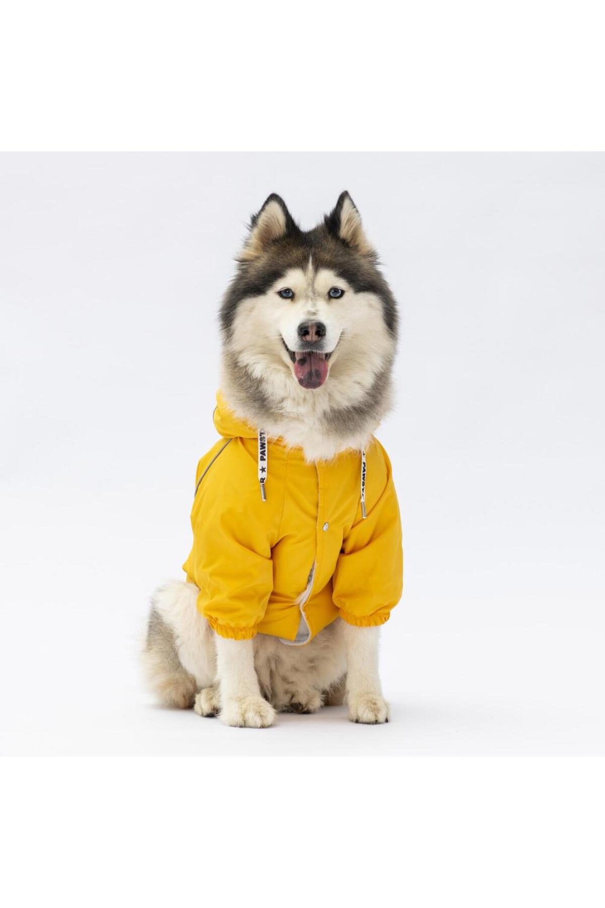 بارانی سگ نژاد بزرگ پاوستار Pawstar Pluvia مدل 22554