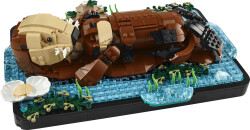 مجموعه ساختنی و نمایشی لگو LEGO آیدیا Ideas مدل 21366، سمورهای دریایی شناور، ۱۲۳۴ قطعه، حداقل سن ۱۸ سال