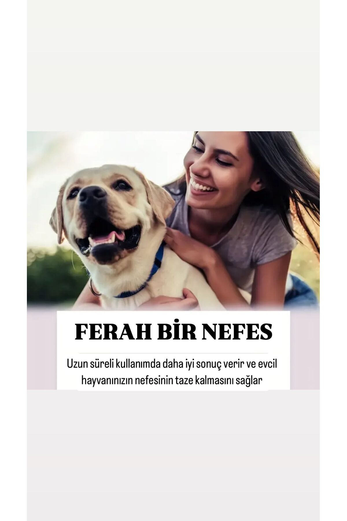 ست قلم برس و ژل تمیزکننده دندان برای گربه و سگ، ۲ تکه ام‌اس پت دیزاین MS Pet Design