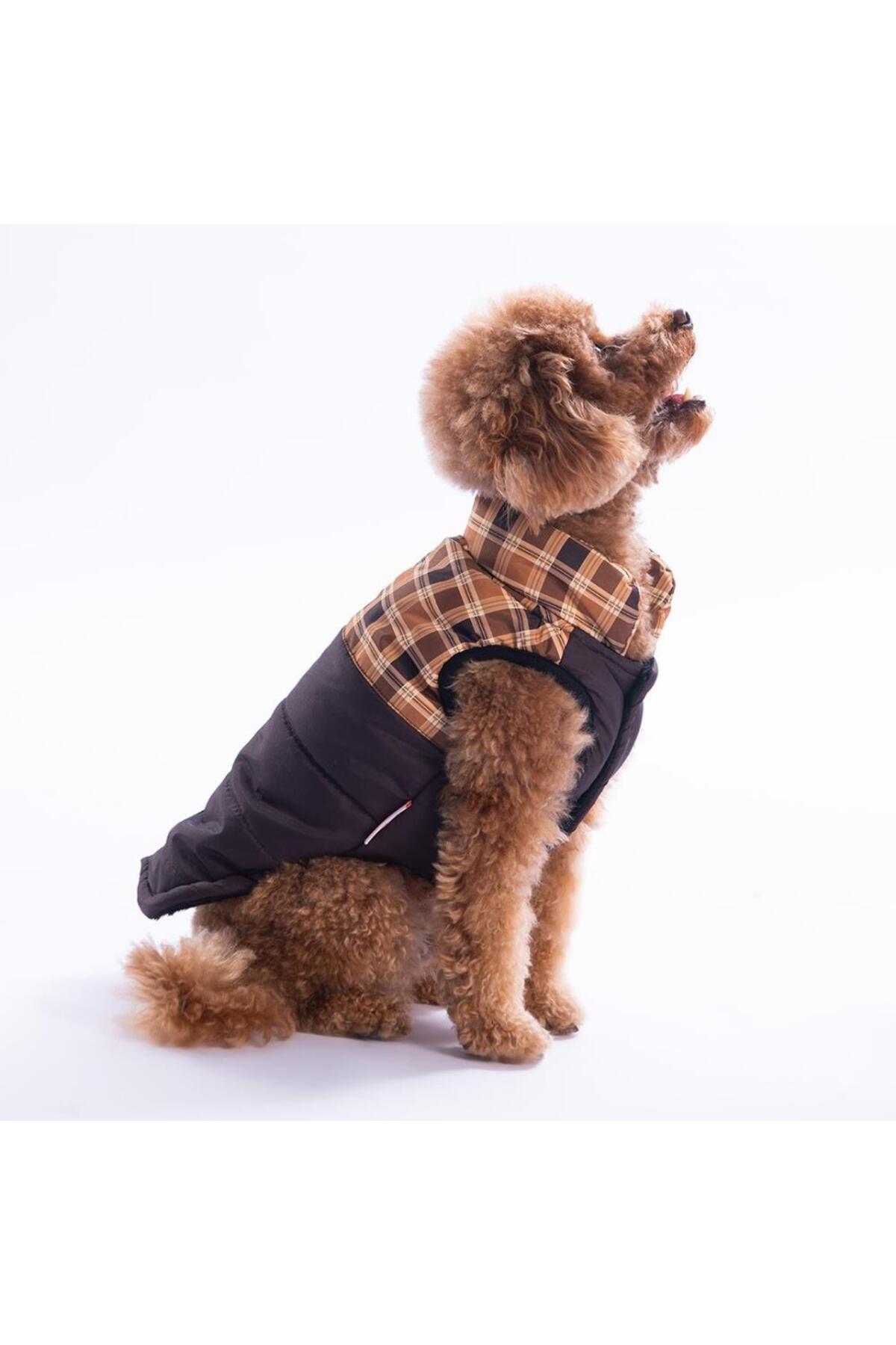 جلیقه سگ پاواستار Pawstar، Elgin Paws، قهوه‌ای با طرح چهارخانه، مدل 25103 قهوه‌ای و چندرنگ
