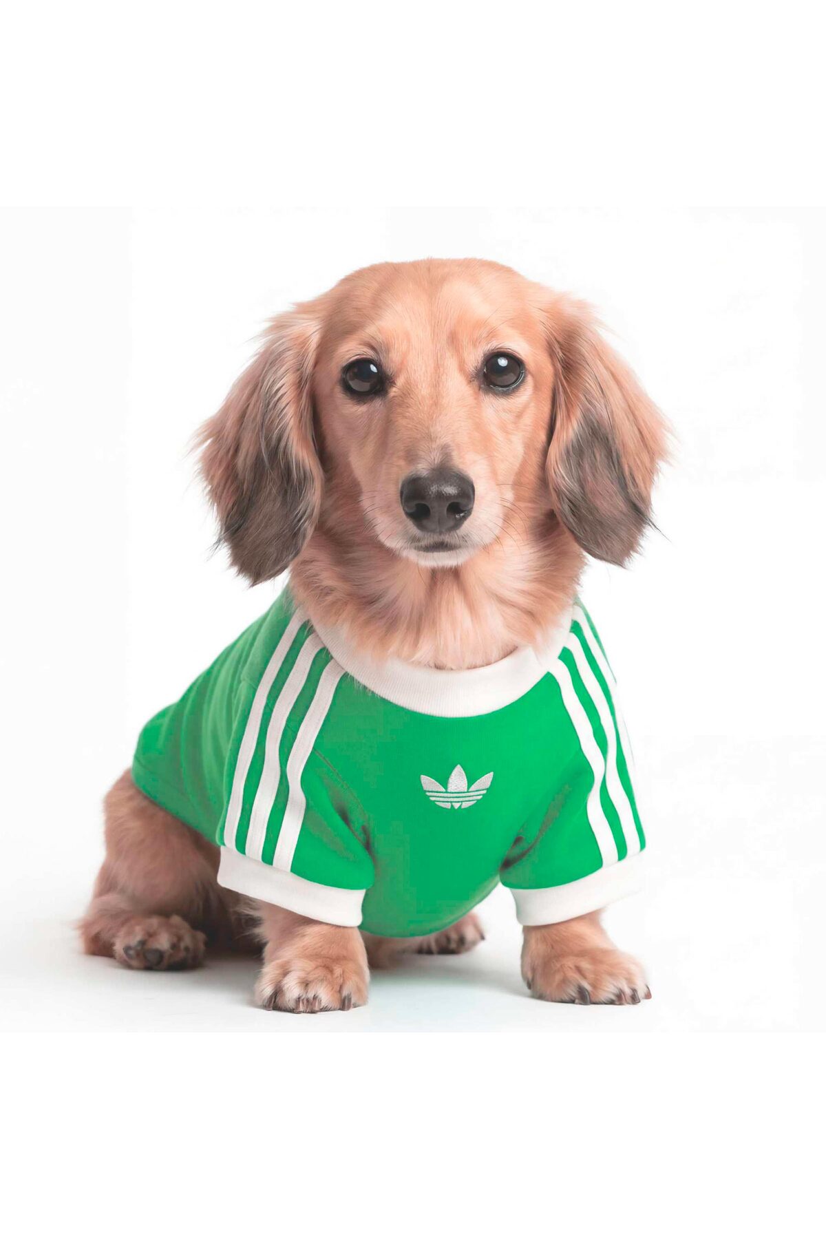 تی‌شرت سگ آدیداس adidas Originals Cali سبز (KY8730)