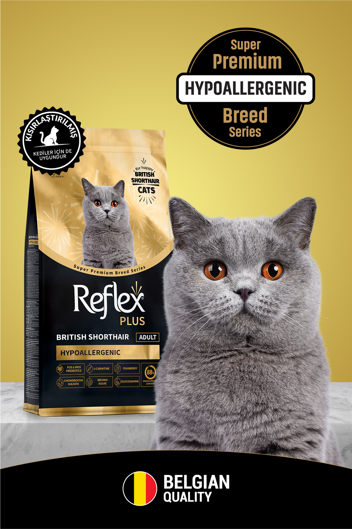 غذای خشک گربه بالغ بریتیش شورت‌هیر رفلکس Reflex Plus، ۸ کیلوگرم