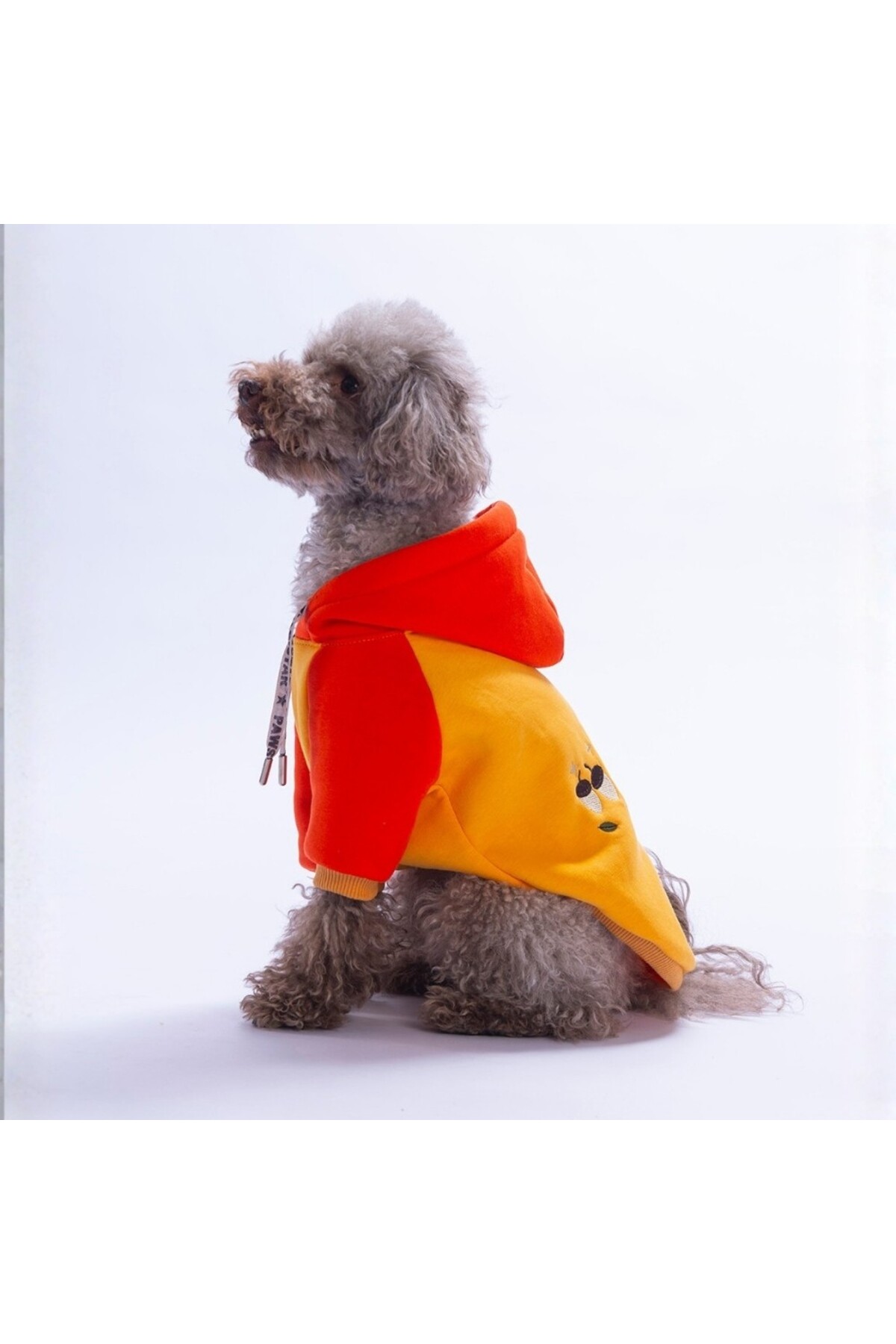 هودی سگ پاوستار Pawstar Vermont Autumn، نارنجی، مدل PS26-1178