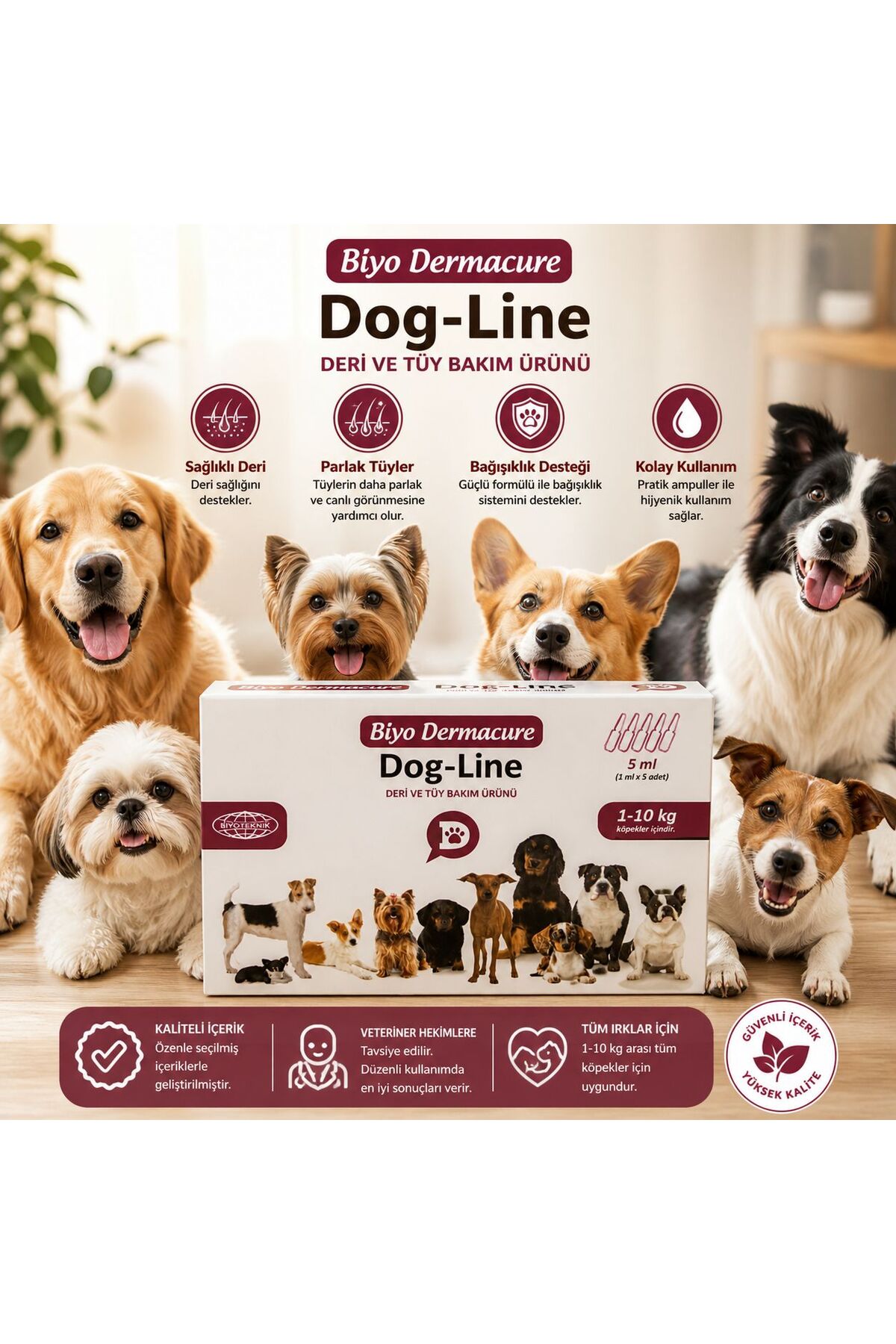 محصول سگ بیوتکنیک Biyoteknik، سری Biyo-Dermacure Dog-Line، ۵ میلی‌لیتر، ۵ عدد ۱ میلی‌لیتری برای سگ‌های ۱ تا ۱۰ کیلوگرم