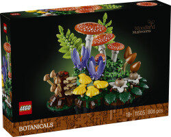مجموعه ساختنی تزئینی قارچ‌های جنگلی لگو LEGO Botanicals مدل 11505، ۸۰۶ قطعه، حداقل سن ۱۸ سال