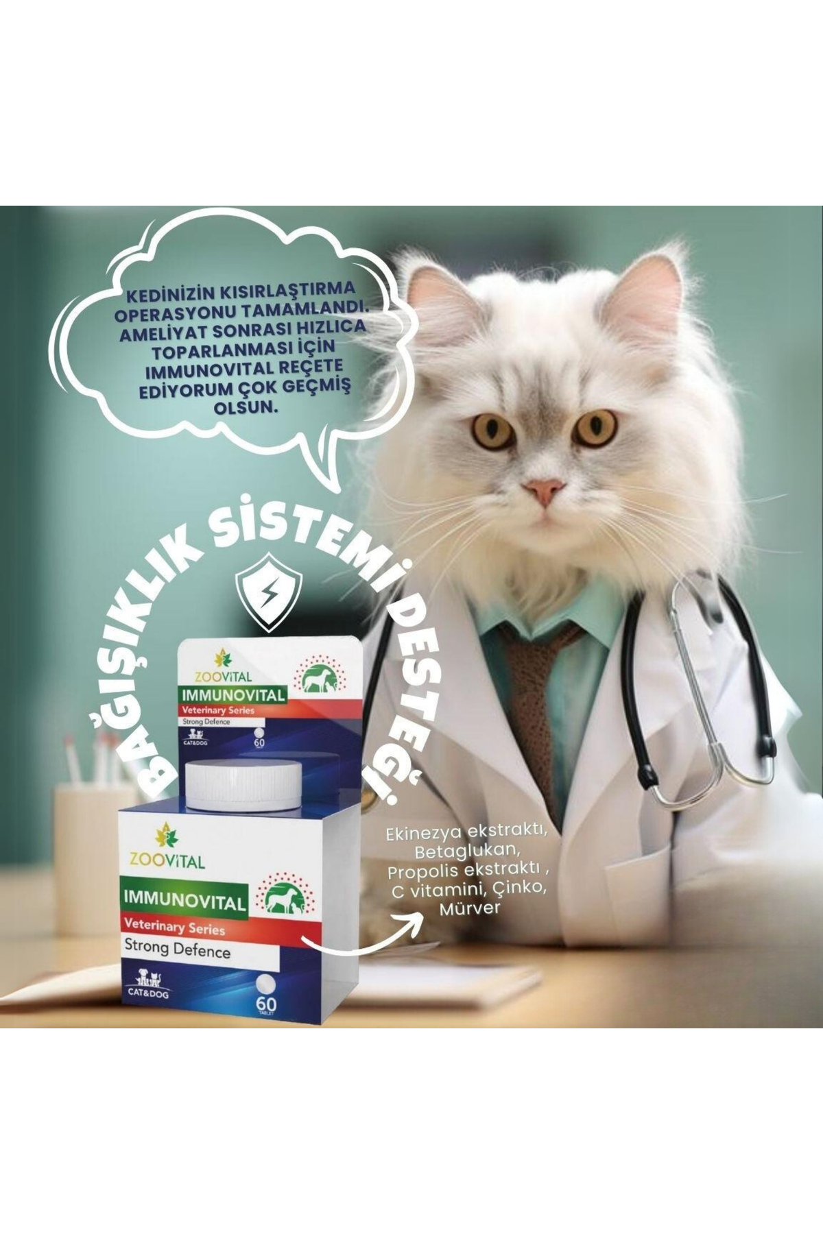 قرص خوش‌طعم گربه زوویتال Zoovital Immunovital، ۶۰ عددی