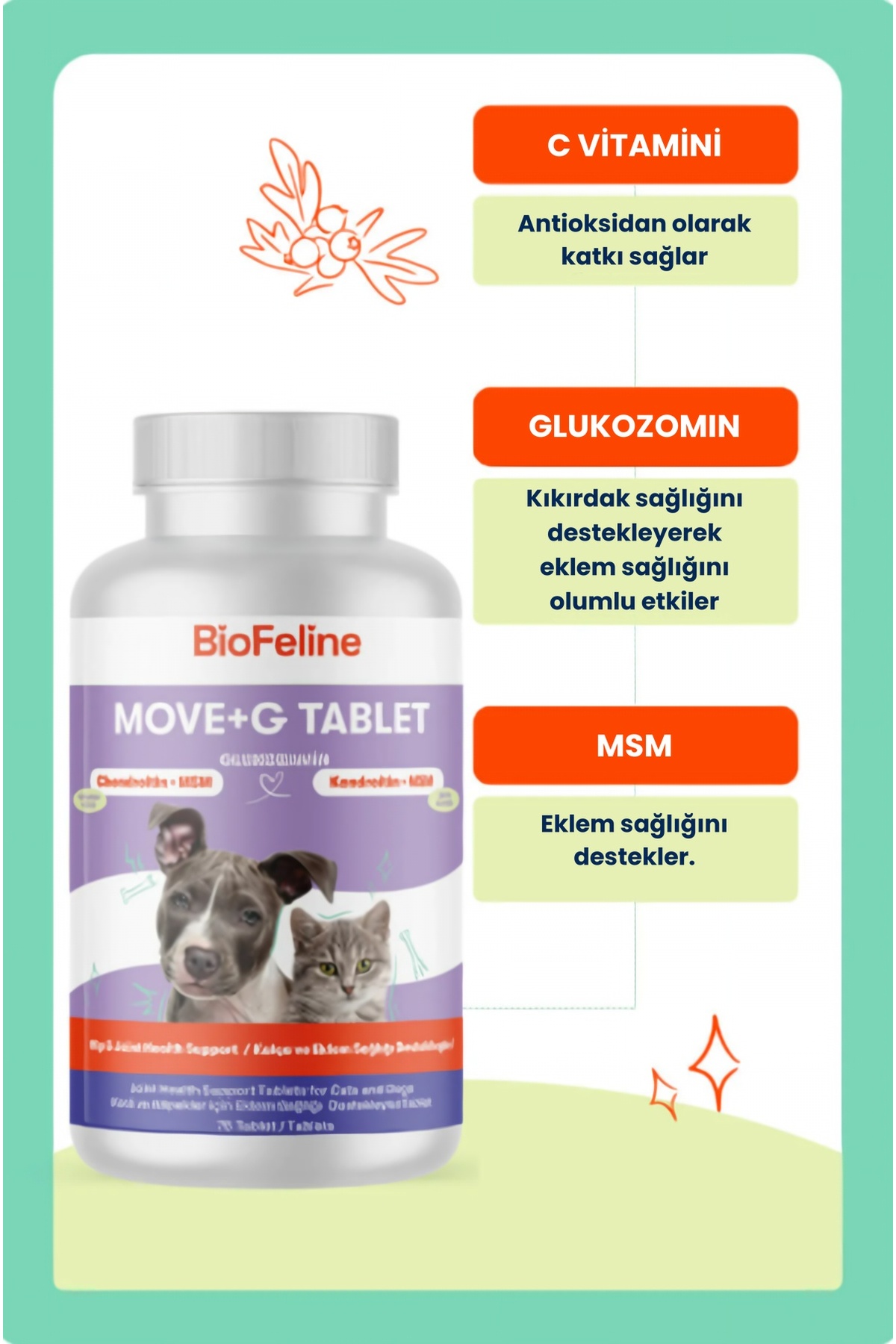قرص مکمل سگ و گربه بیوفلین BioFeline، حاوی MSM، ویتامین C و گلوکزامین، ۷۵ عدد