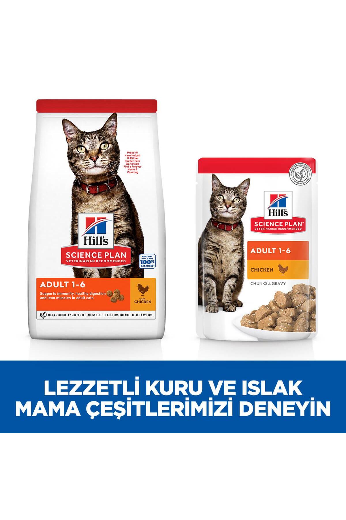 غذای خشک گربه هیلز Hill's Adult Chicken، بدون غلات، با طعم مرغ، ۱٫۵ کیلوگرم 1.5 Kg