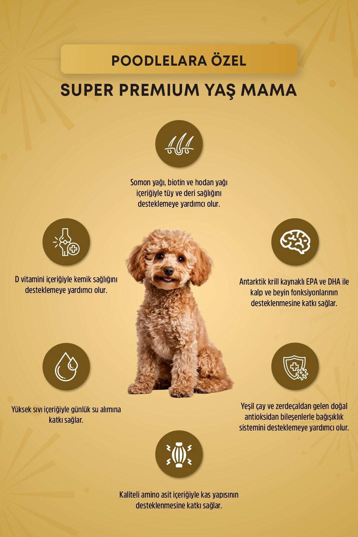 غذای پاته سگ بالغ رفلکس Reflex Plus Pounch Poodle Coat Health، ۱۲ بسته ۸۵ گرمی