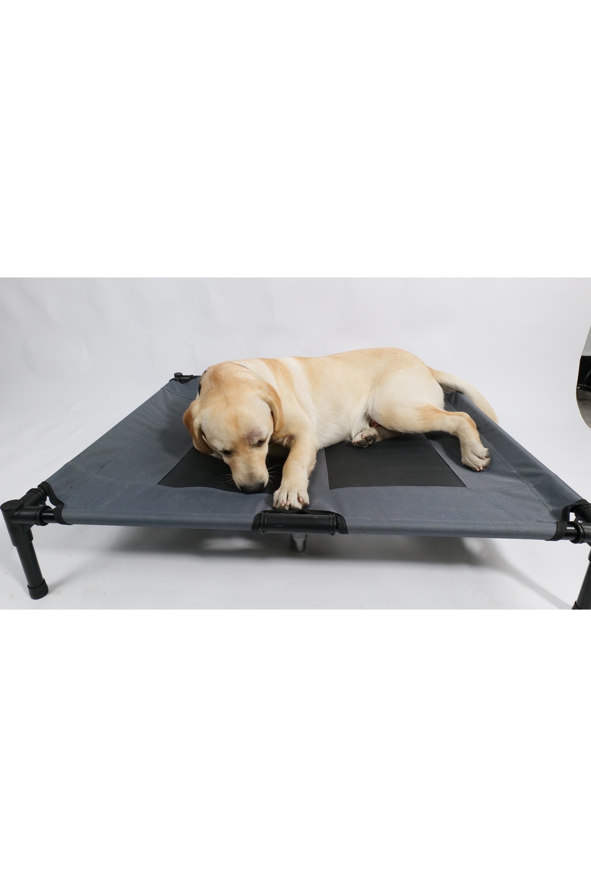 تخت مرتفع گربه و سگ ام‌پتس M-PETS، سایز L، مدل 10362199 چندرنگ