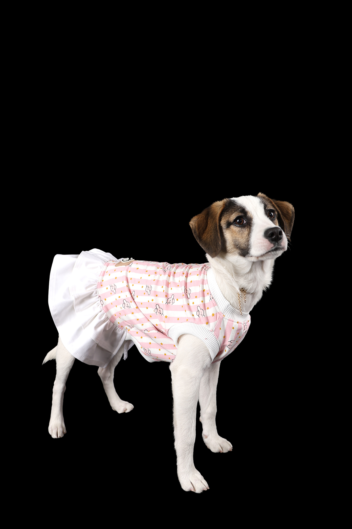 لباس سگ پتی تیلور Peti Tailor، راه‌راه صورتی نازک تابستانی چندرنگ