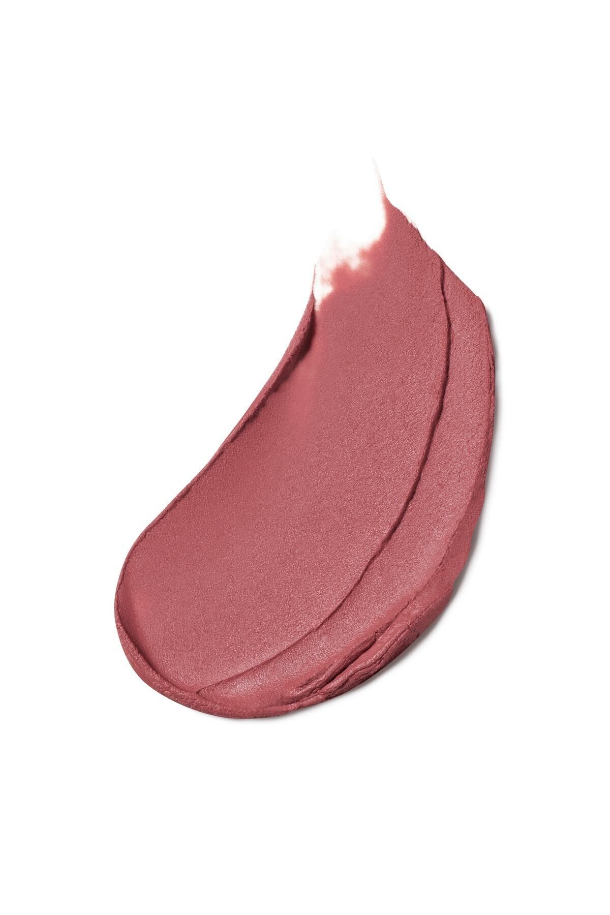 رژ لب مات رنگ 669 دلبر دزدیده 35 گرم استی لادر Estee Lauder