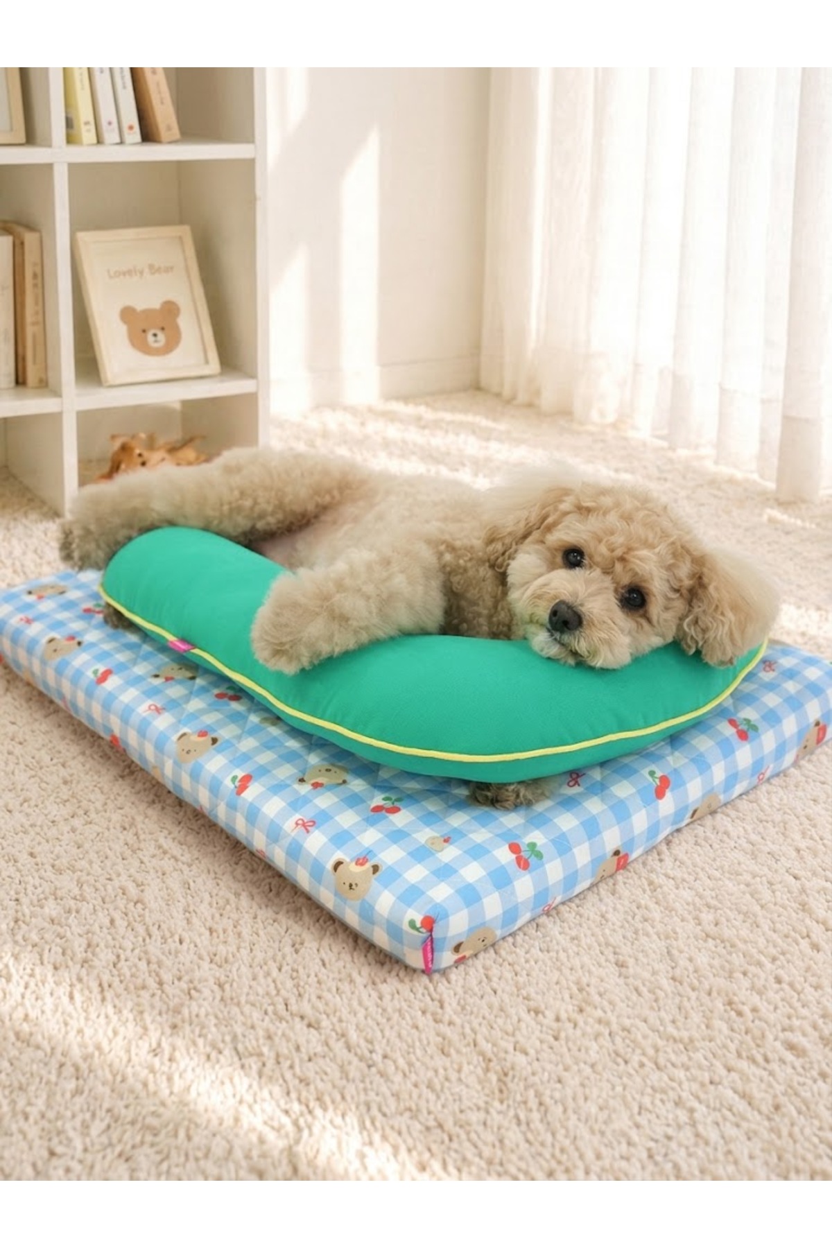 تشک و جای خواب خنک‌کننده سگ پاریس‌داگ ParisDog مدل PRD10427 سبز