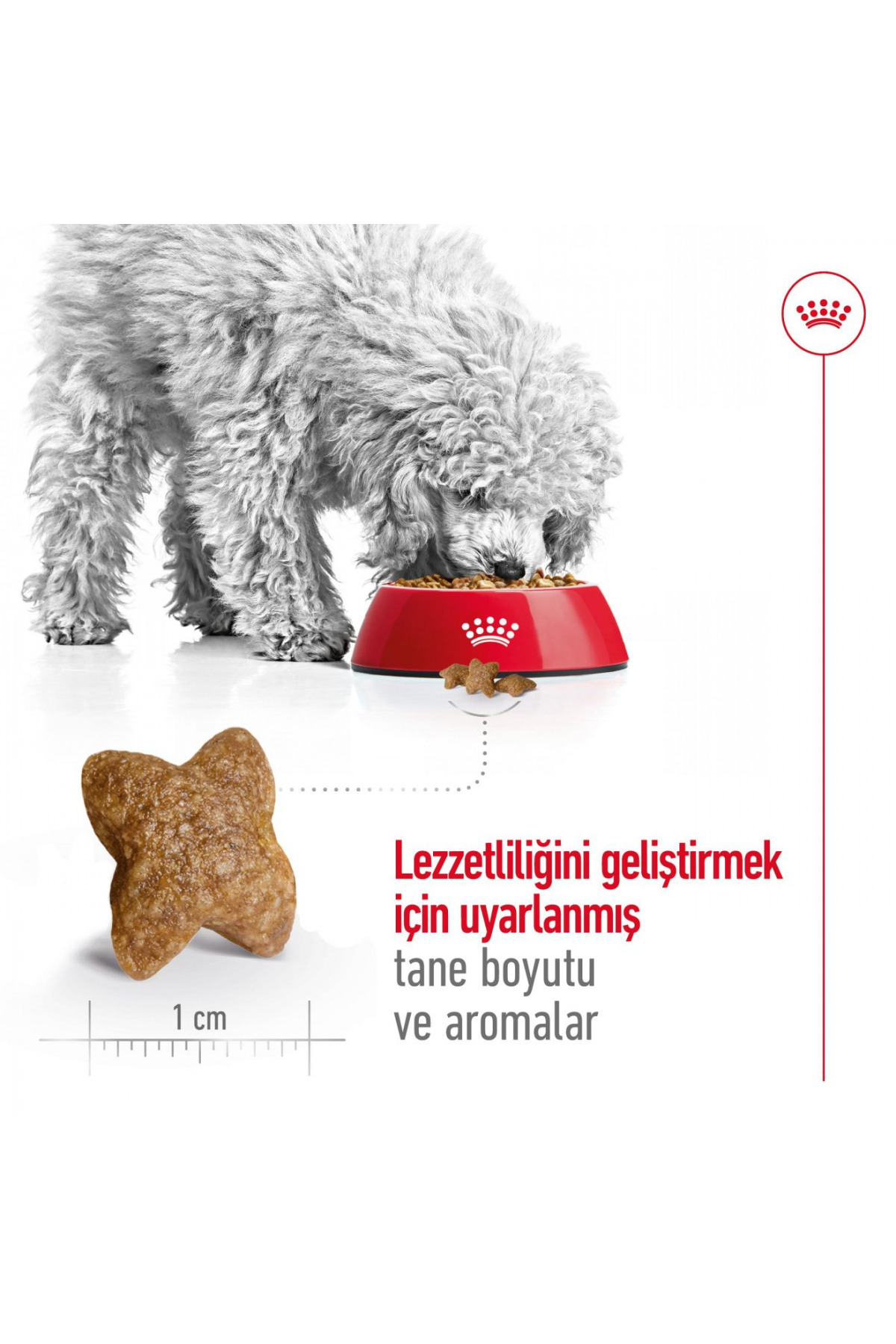 غذای خشک سگ بالغ نژادهای کوچک رویال کنین Royal Canin Mini Adult، ۴ کیلوگرم