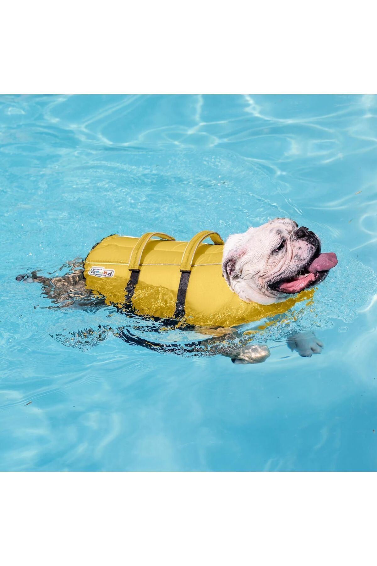 جلیقه نجات سگ اوت‌وارد هاوند Outward Hound، سایز L، صورتی